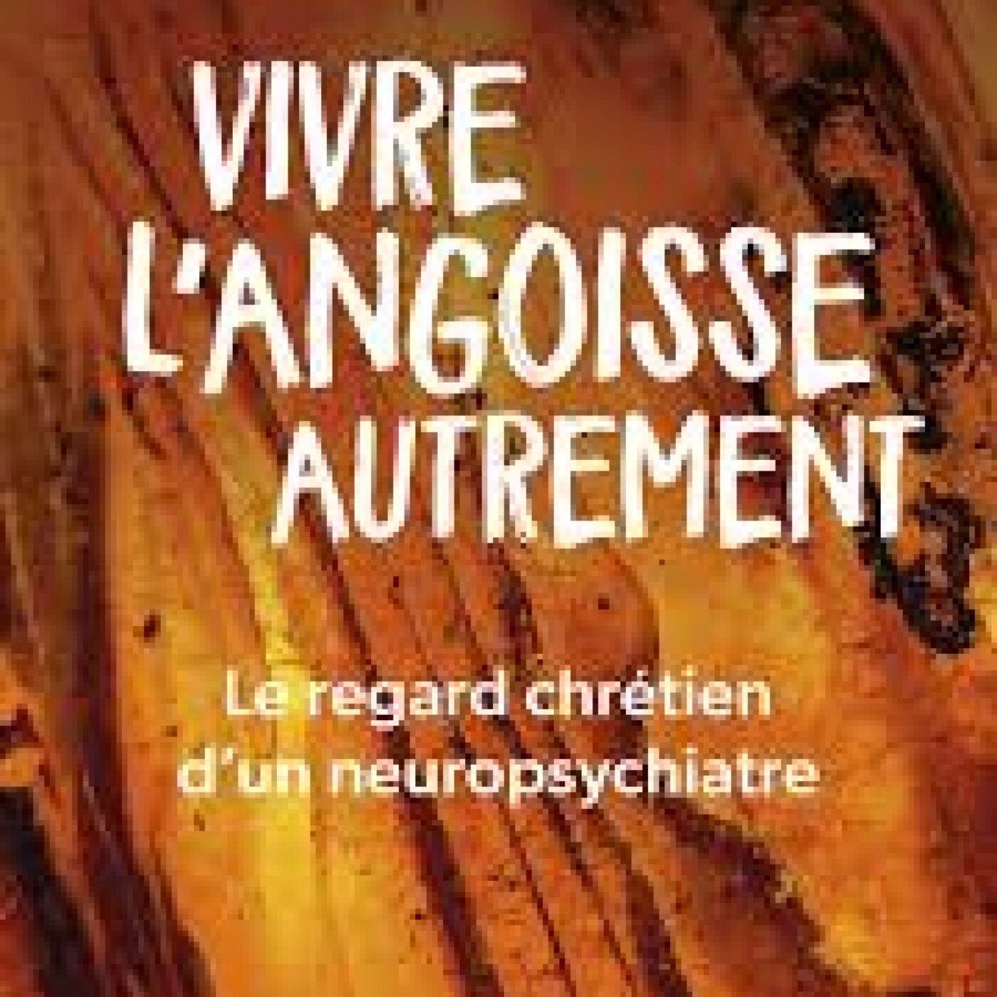 Vivre l'angoisse autrement episode artwork