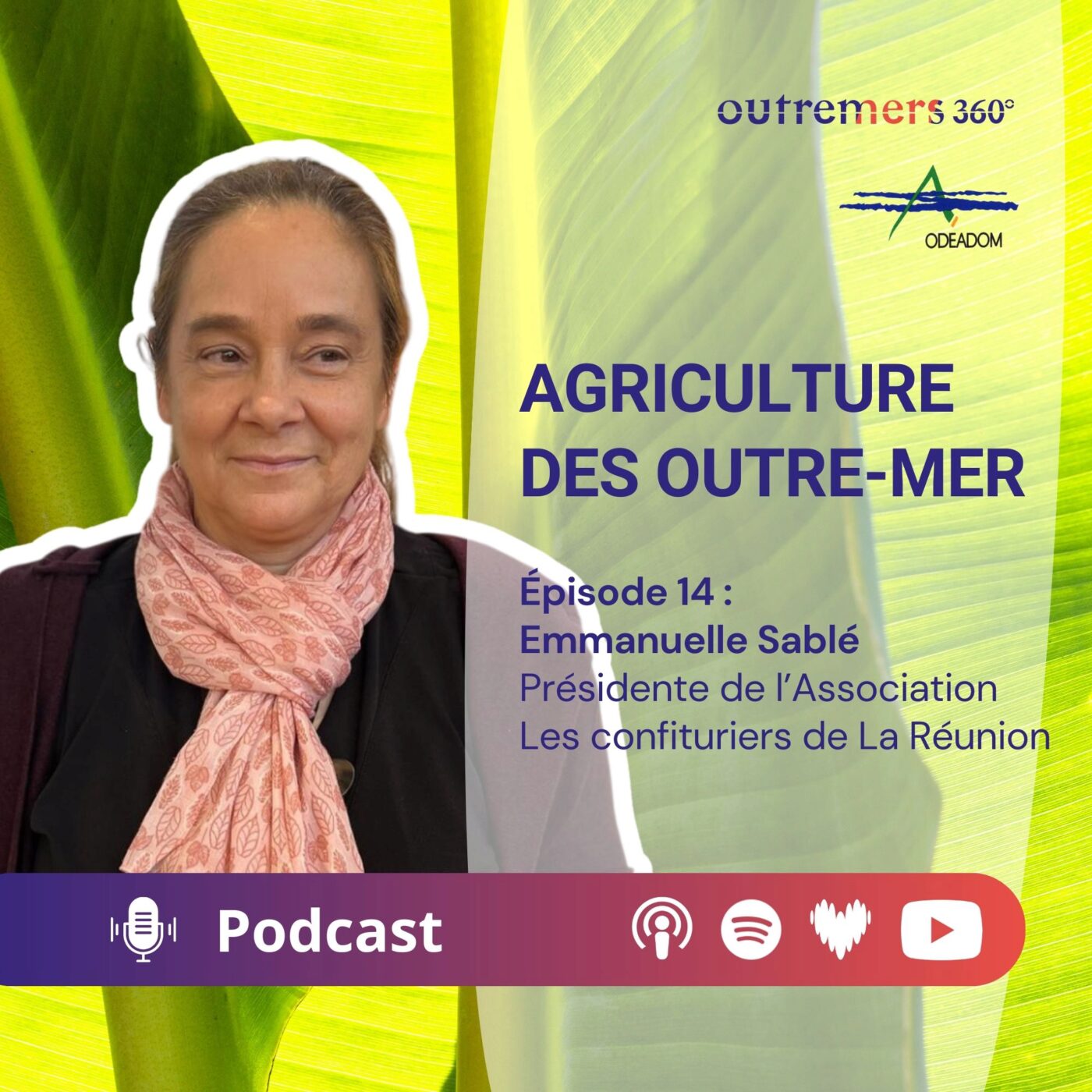 Agriculture des Outre-mer