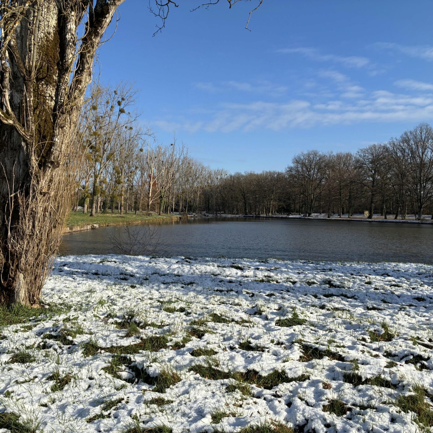Christian Beaudin : Nature & Traditions en Sologne