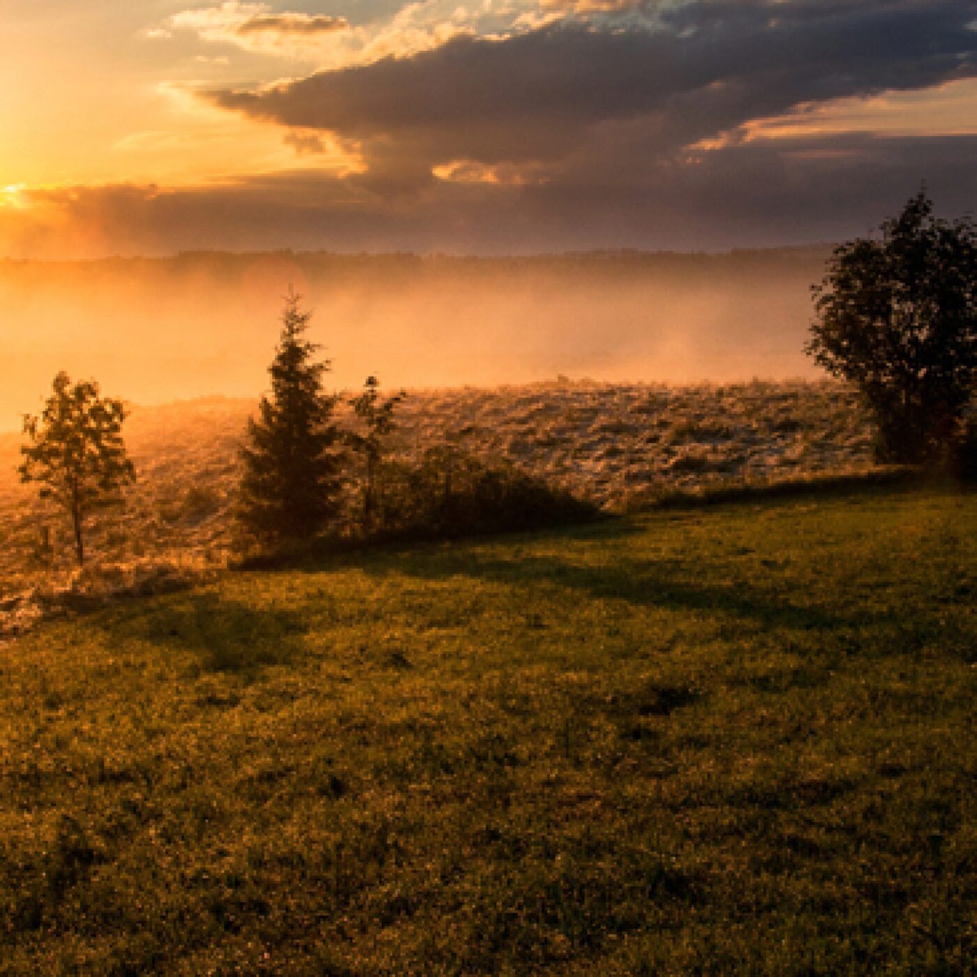 Prière du matin
