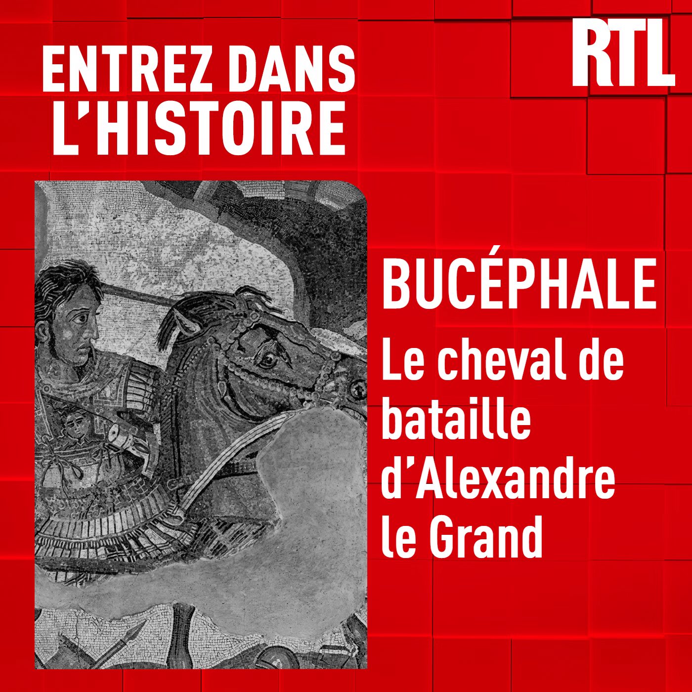 Buc&eacute;phale : le cheval de bataille d'Alexandre le Grand