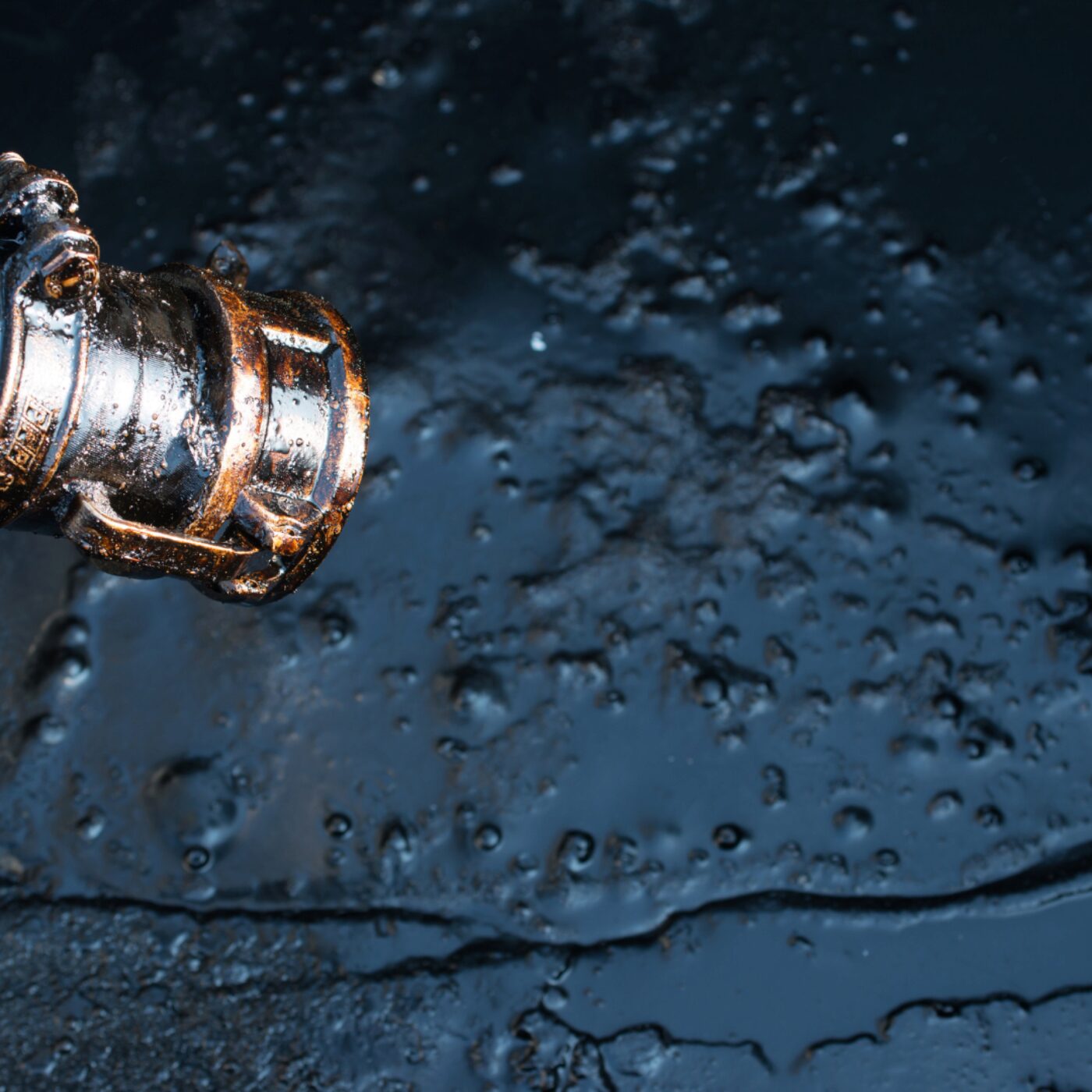 Chronique Société · RCF Alsace