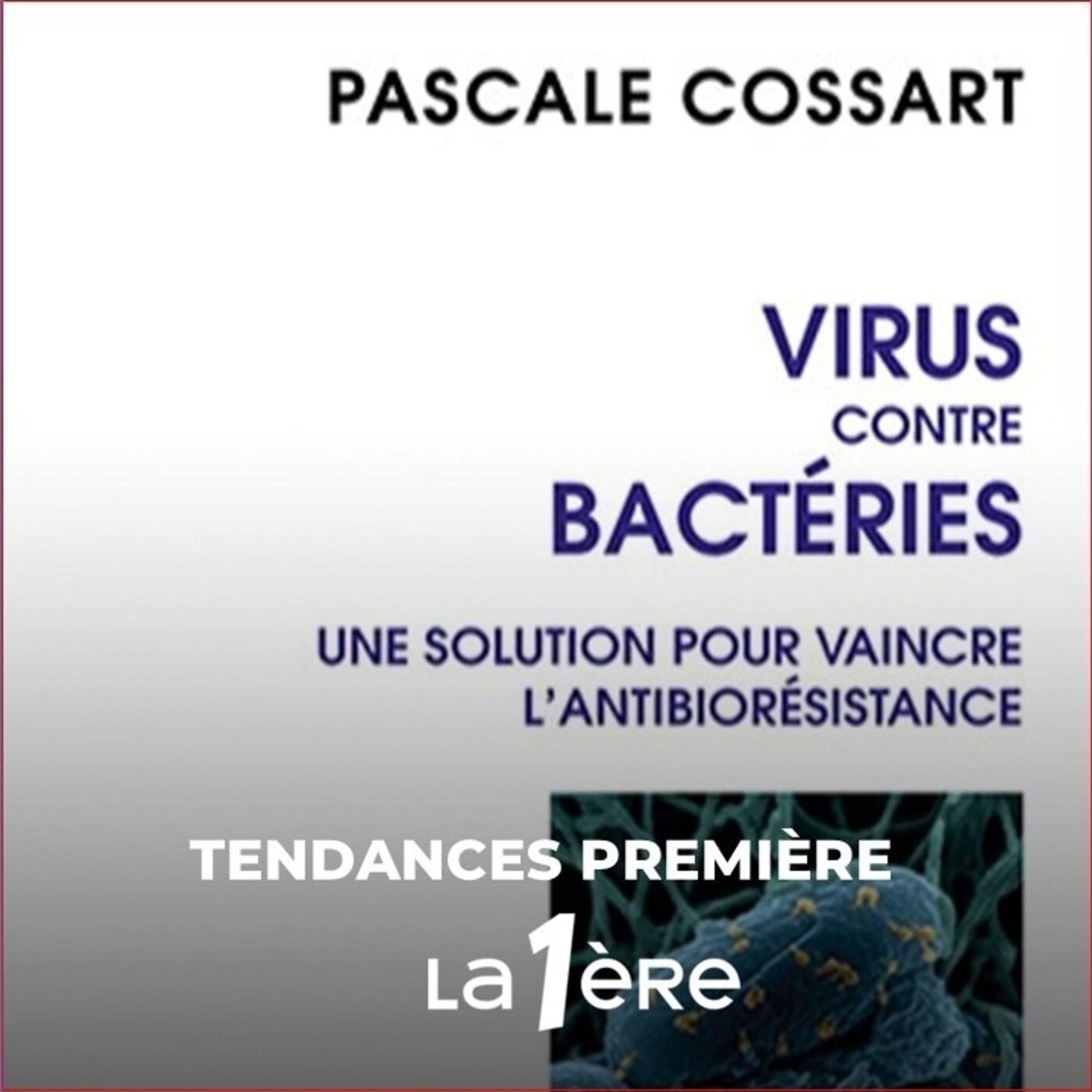 Des bactériophages pour lutter contre l’antibiorésistance ?