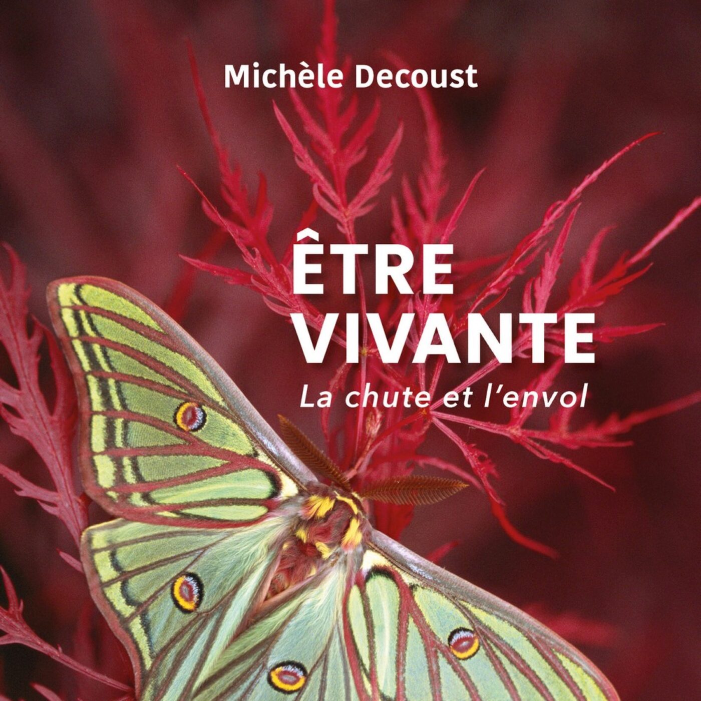Magazine littéraire