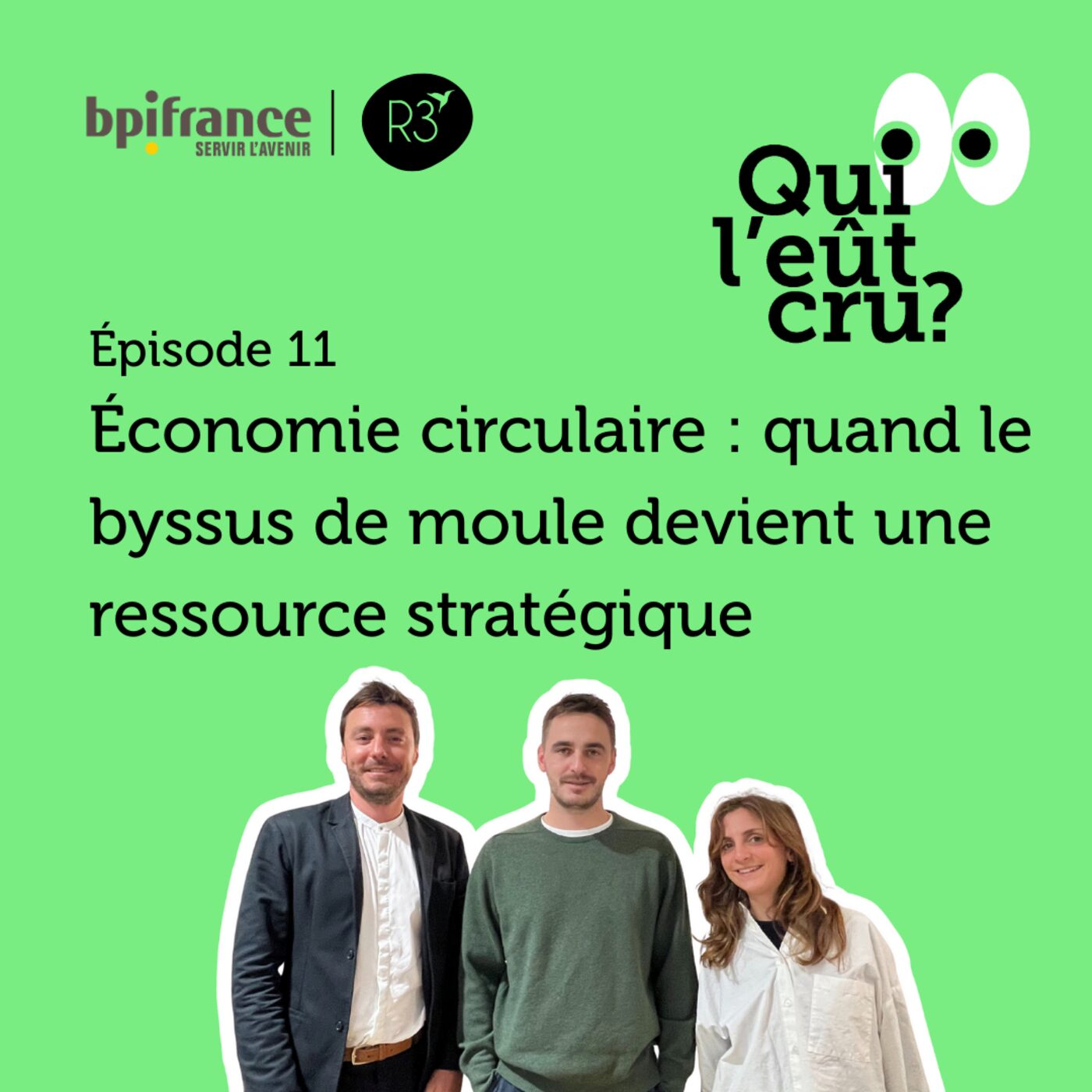 Économie circulaire : quand le byssus de moule devient une ressource stratégique Économie circulaire : quand le byssus de moule devient une ressource stratégique