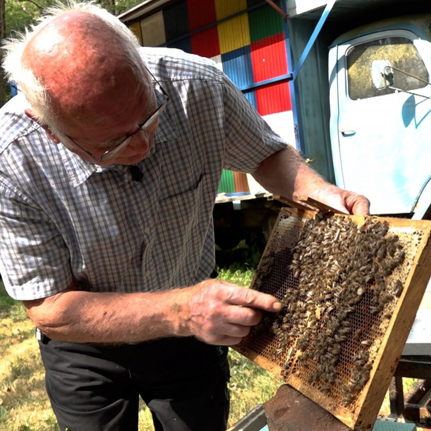 'Heureuse comme une abeille en Slovénie' (rediffusion)