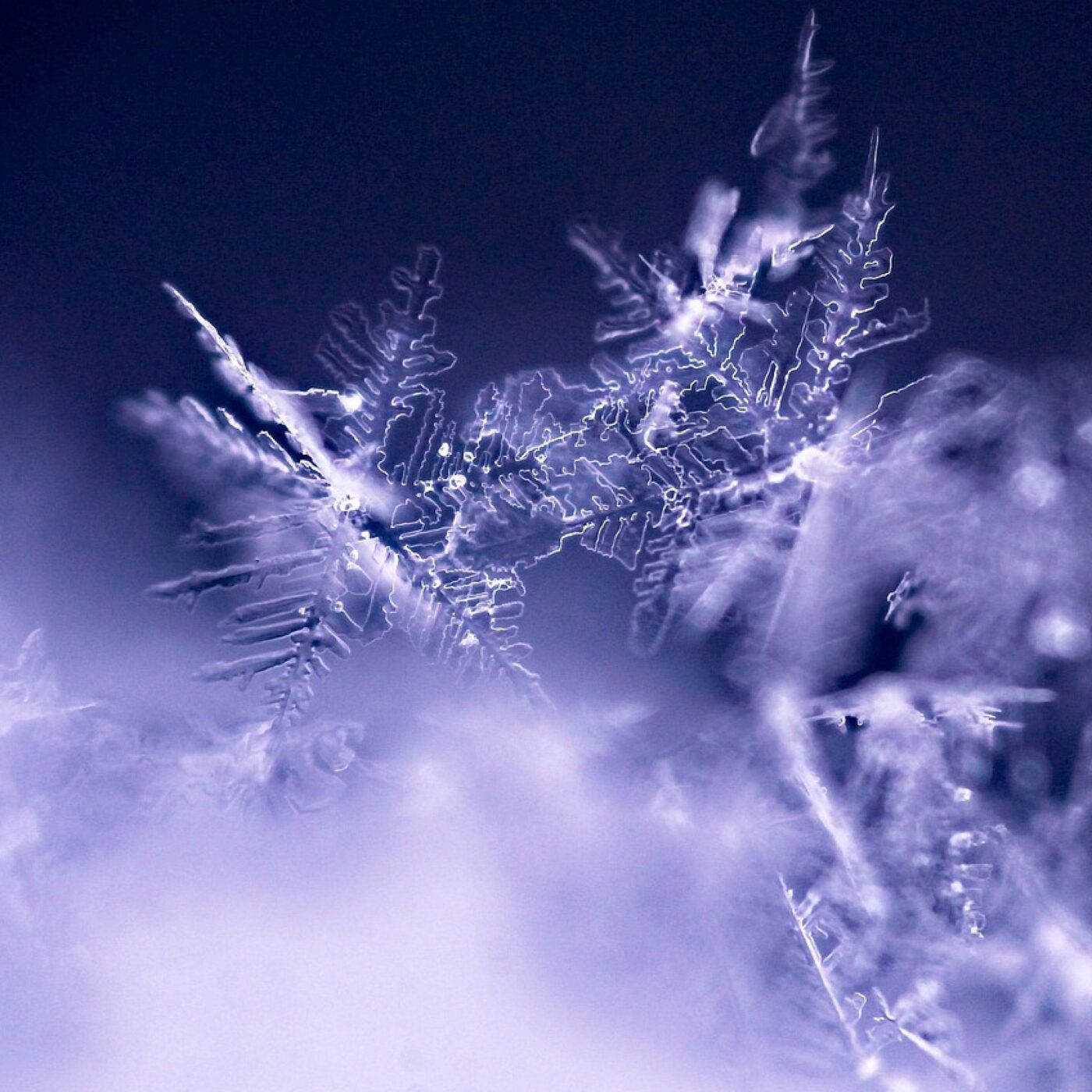 Neige & Glace : apparition et disparition episode artwork