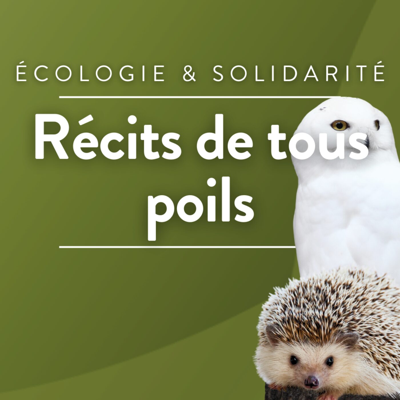 Récits de tous poils