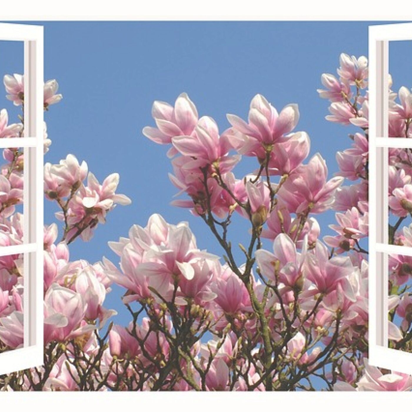 Le Téléphone du dimanche