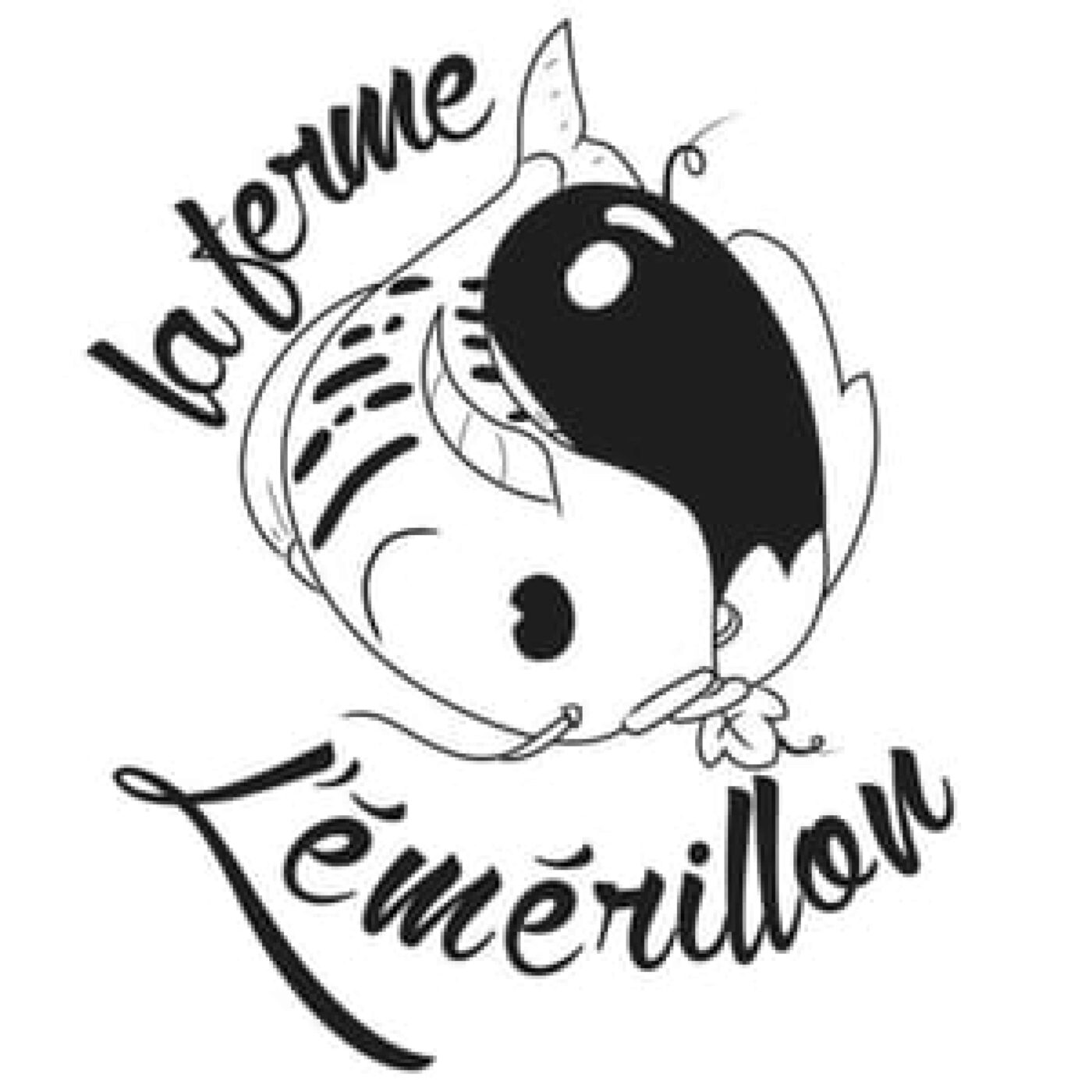Coup de cœur touristique : Pyrénées Audoises