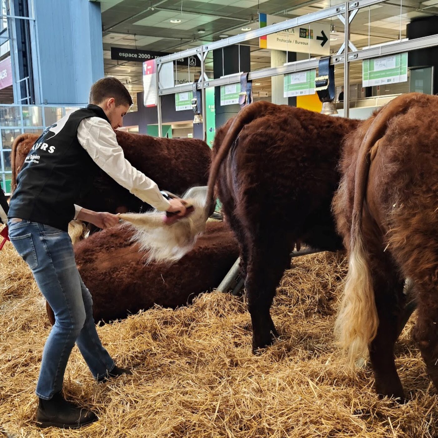 Le grand débat du Salon de l'agriculture serait-il une provocation ? avec Rémi Branco