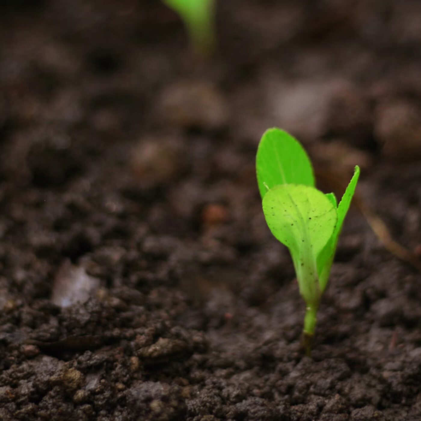 Enfin une Bonne Nouvelle