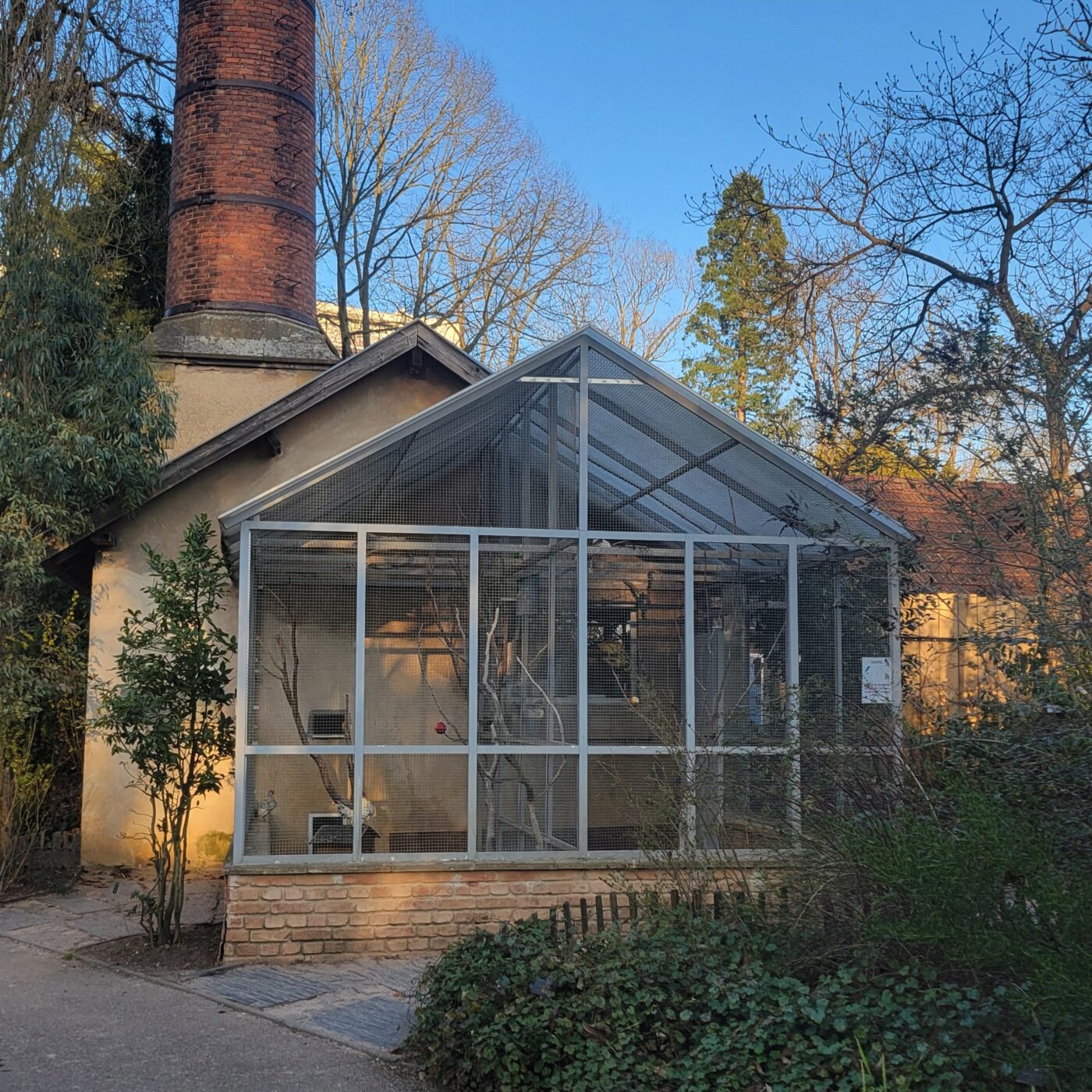 Metz : le CSFL aux petits soins pour les oiseaux du Jardin Botanique episode artwork