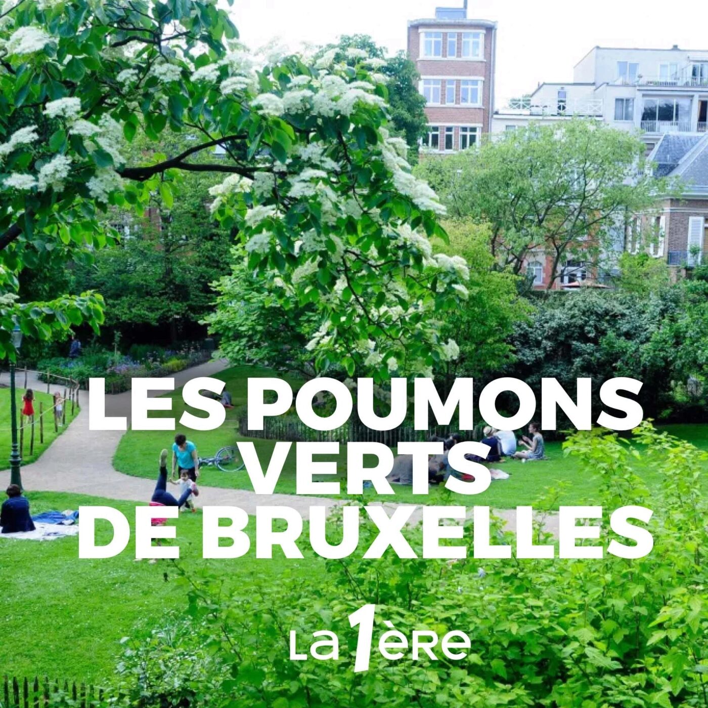 Episode 3 : le miracle du parc Tenbosch