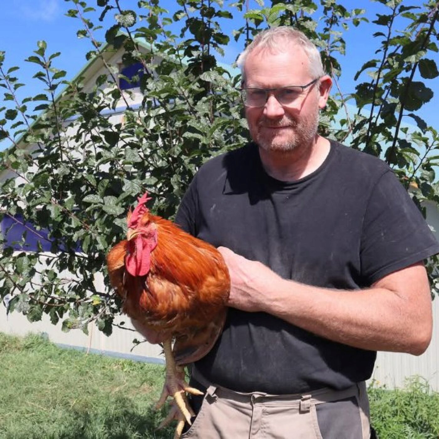Hervé Fayet, co-président de Haute-Loire Biologique dénonce "une reculade énorme de l'État" sur le bio ses dernières années episode artwork