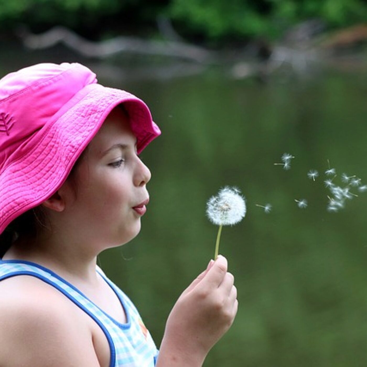 Le Téléphone du dimanche