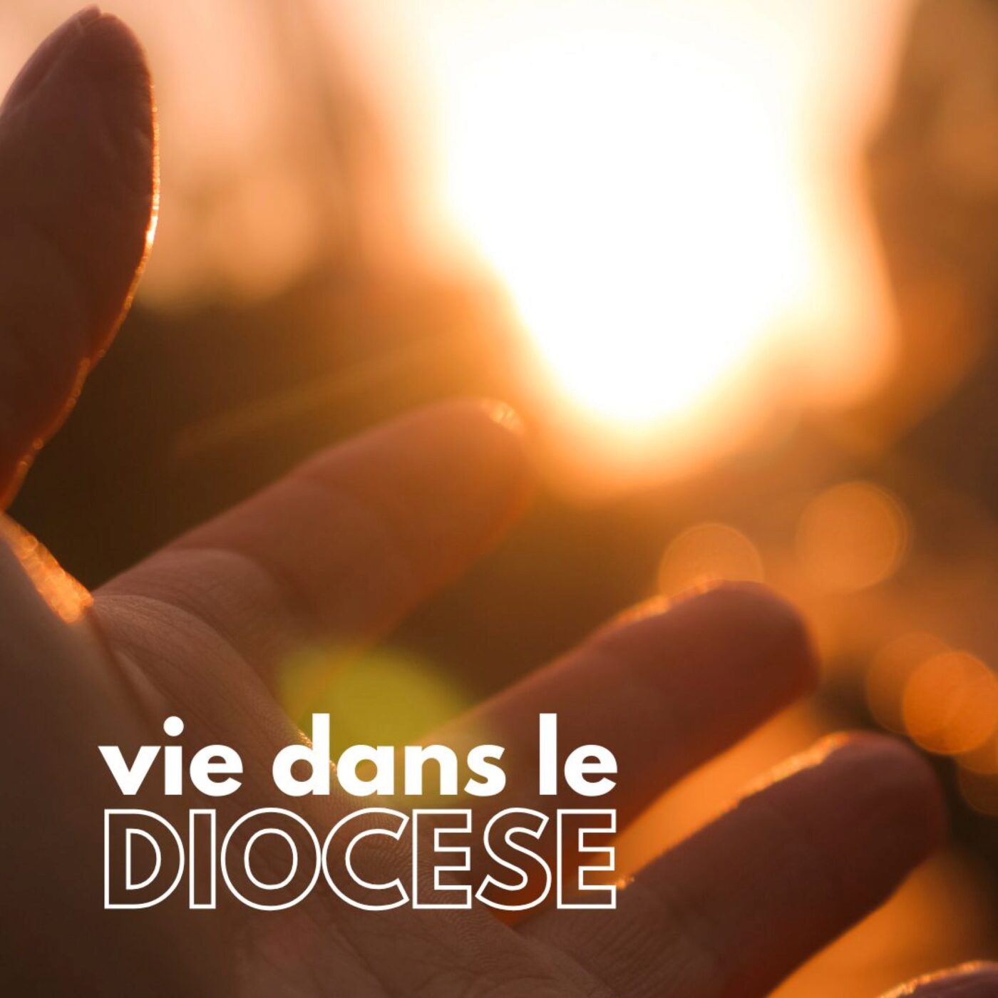 Vie dans le diocèse