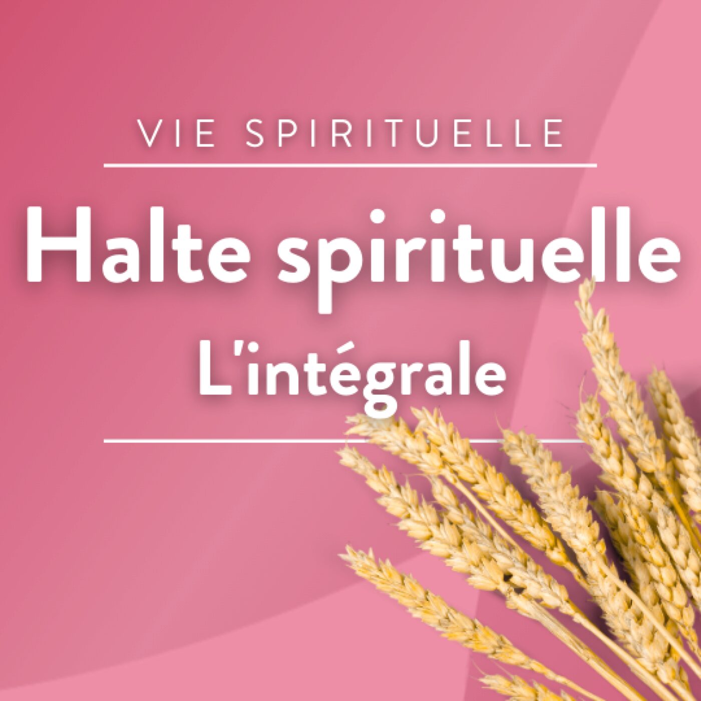 Catholiques et protestants : s'enrichir de nos différences