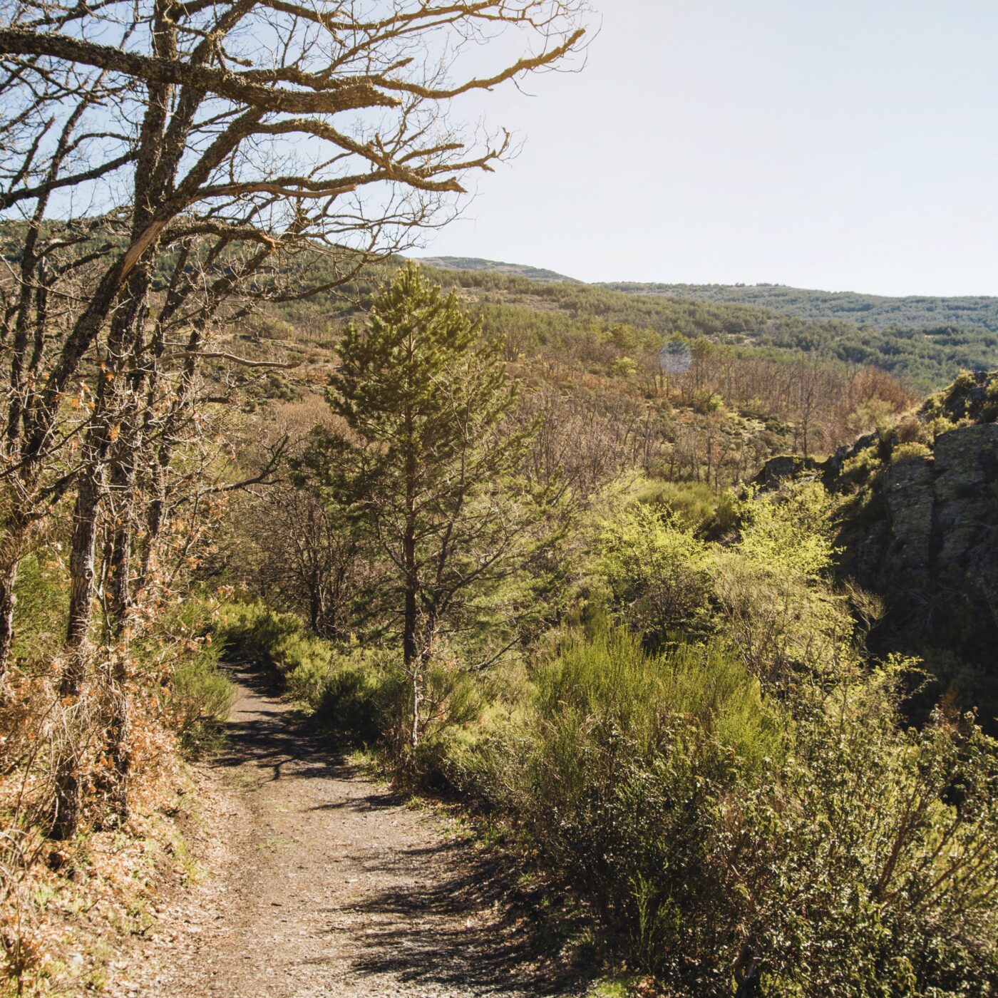 Atteinte de la maladie de Charcot, Soline, mère de famille, part sur les chemins de St Jacques
