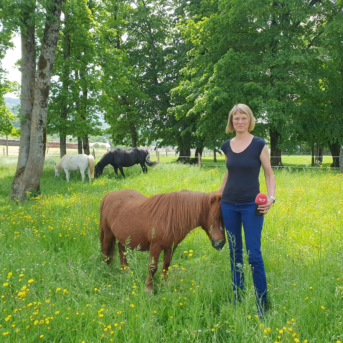 "Equi'libre" : Nouvelle activité à Naisey-les-Granges d'équimotricité episode artwork