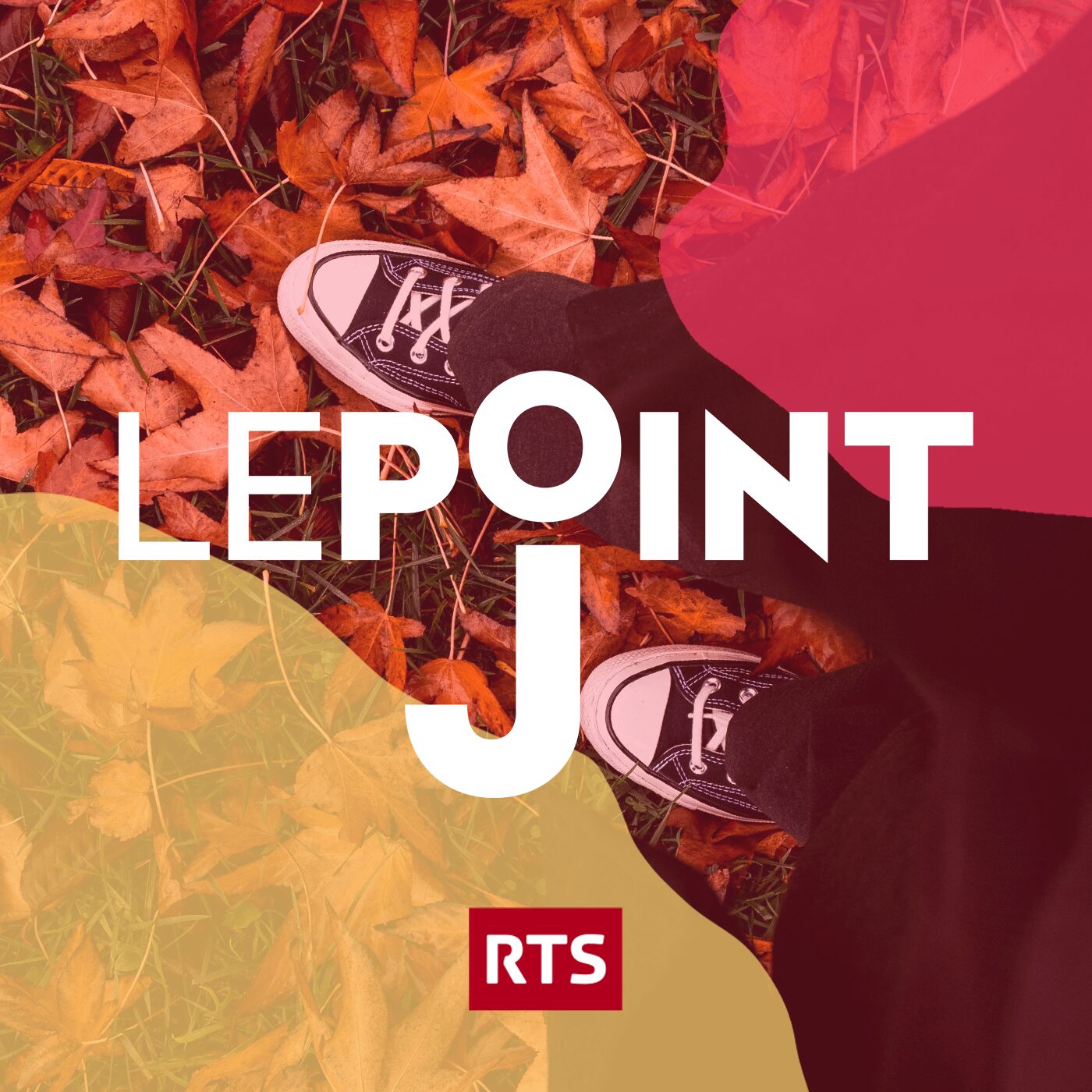 A quoi sert le mois de novembre ? A quoi sert le mois de novembre ?