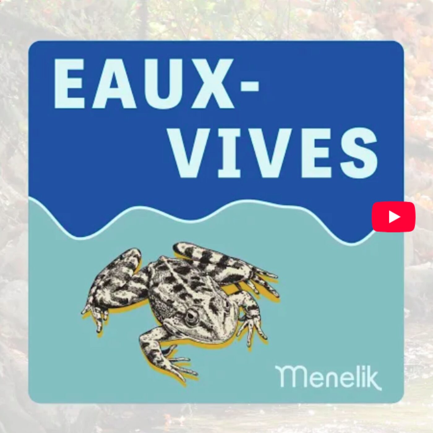 Commune Planète (Aix-Marseille-Provence)