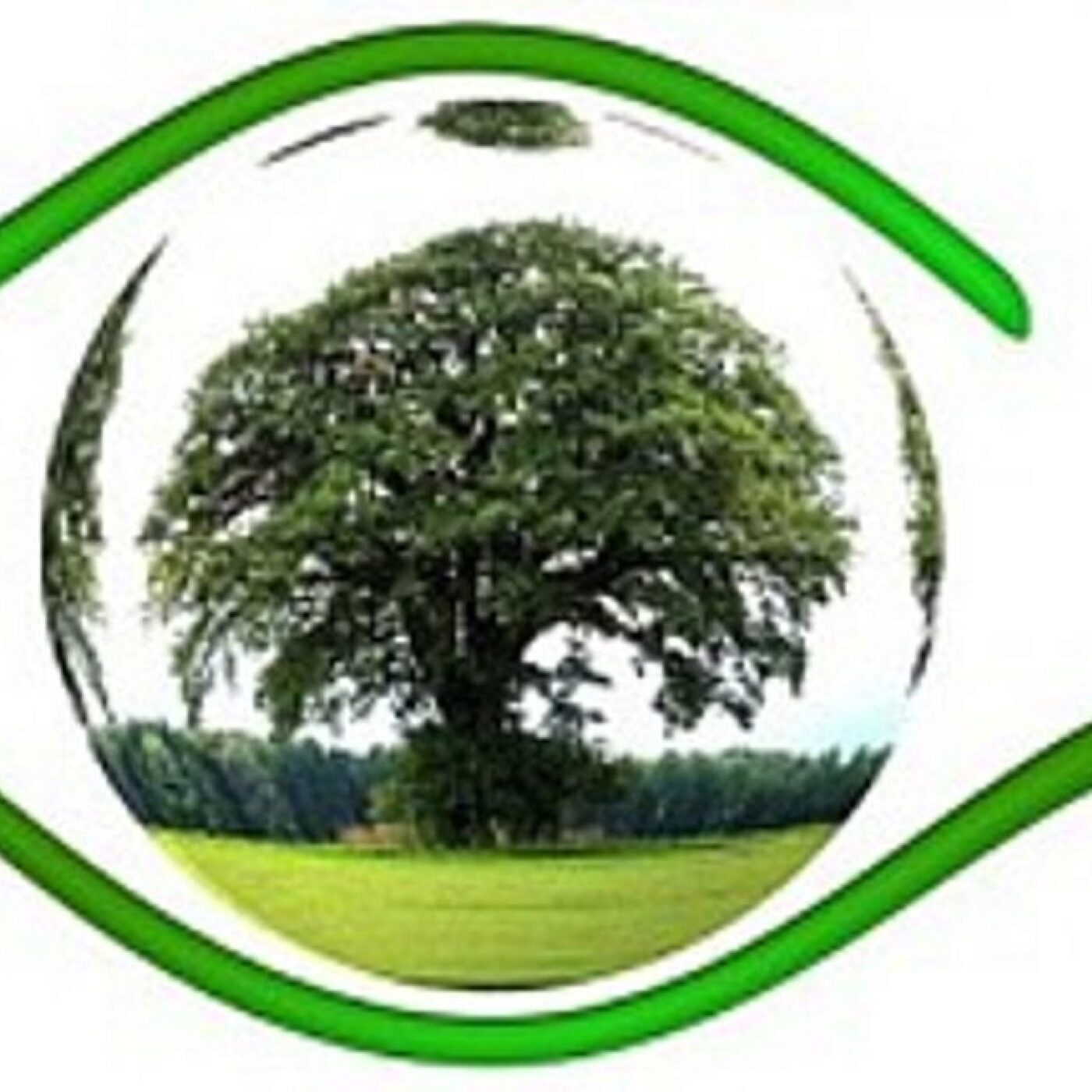 Impact de la loi anti-gaspillage sur l'économie