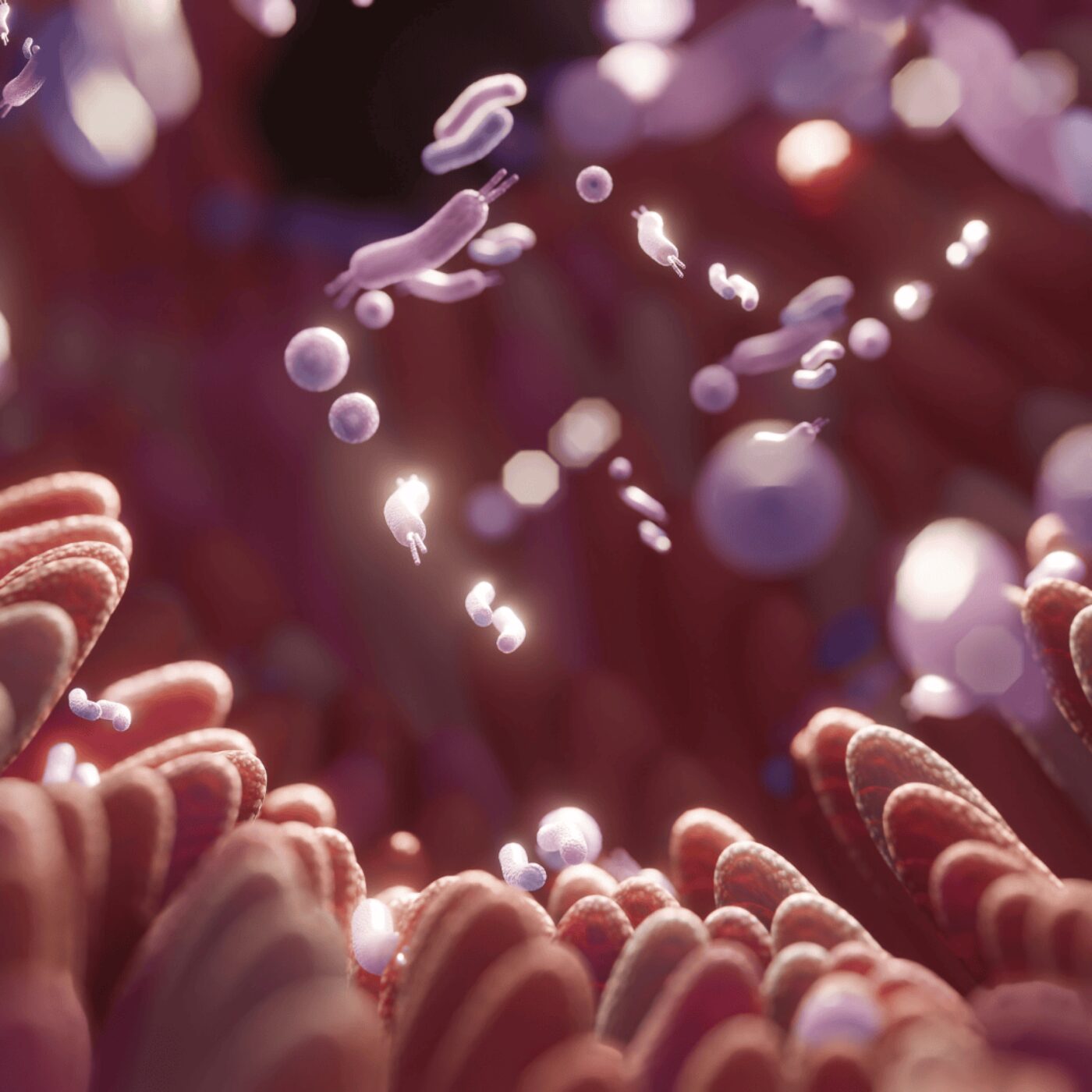 Eurêka · RCF Alsace