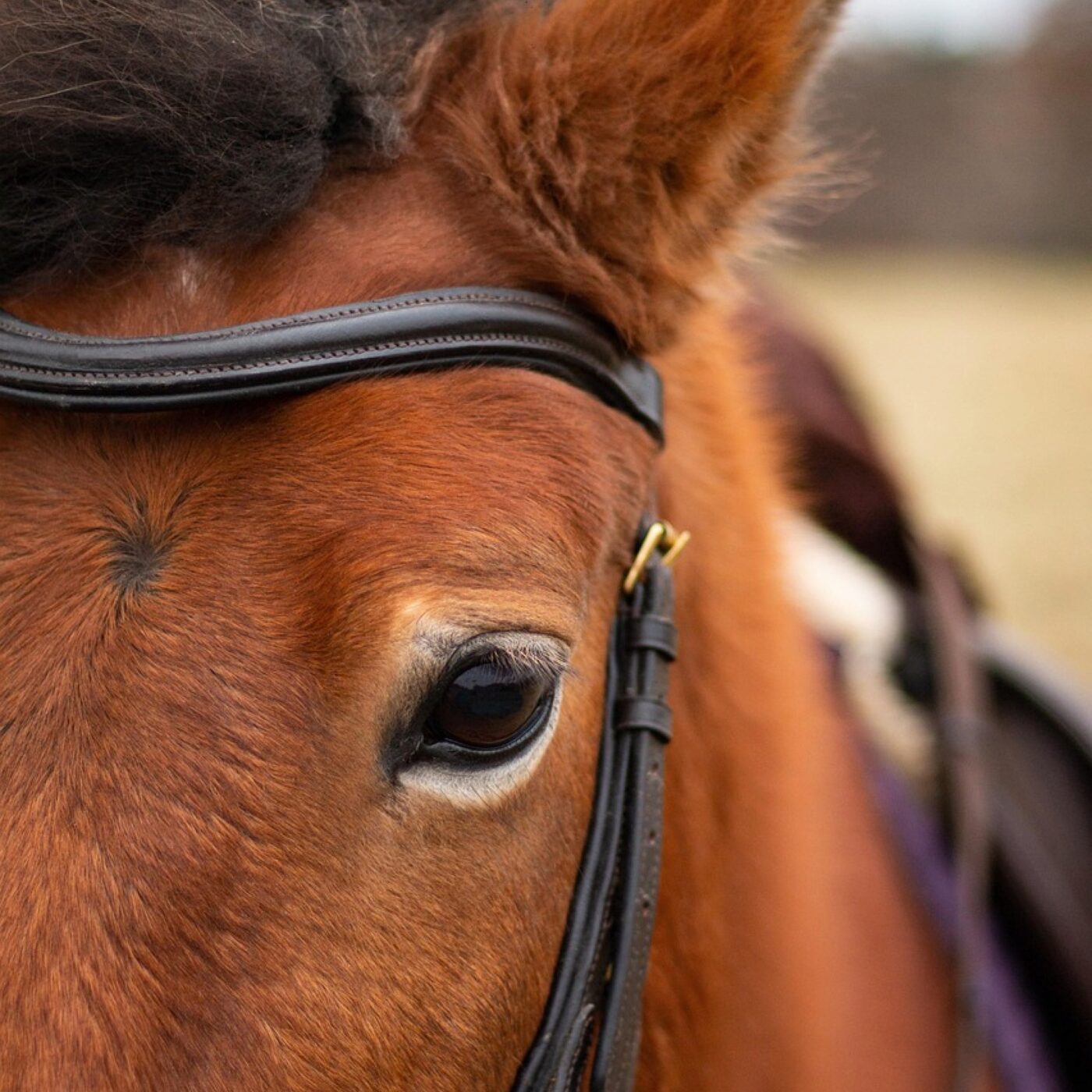 Nature Et Traditions