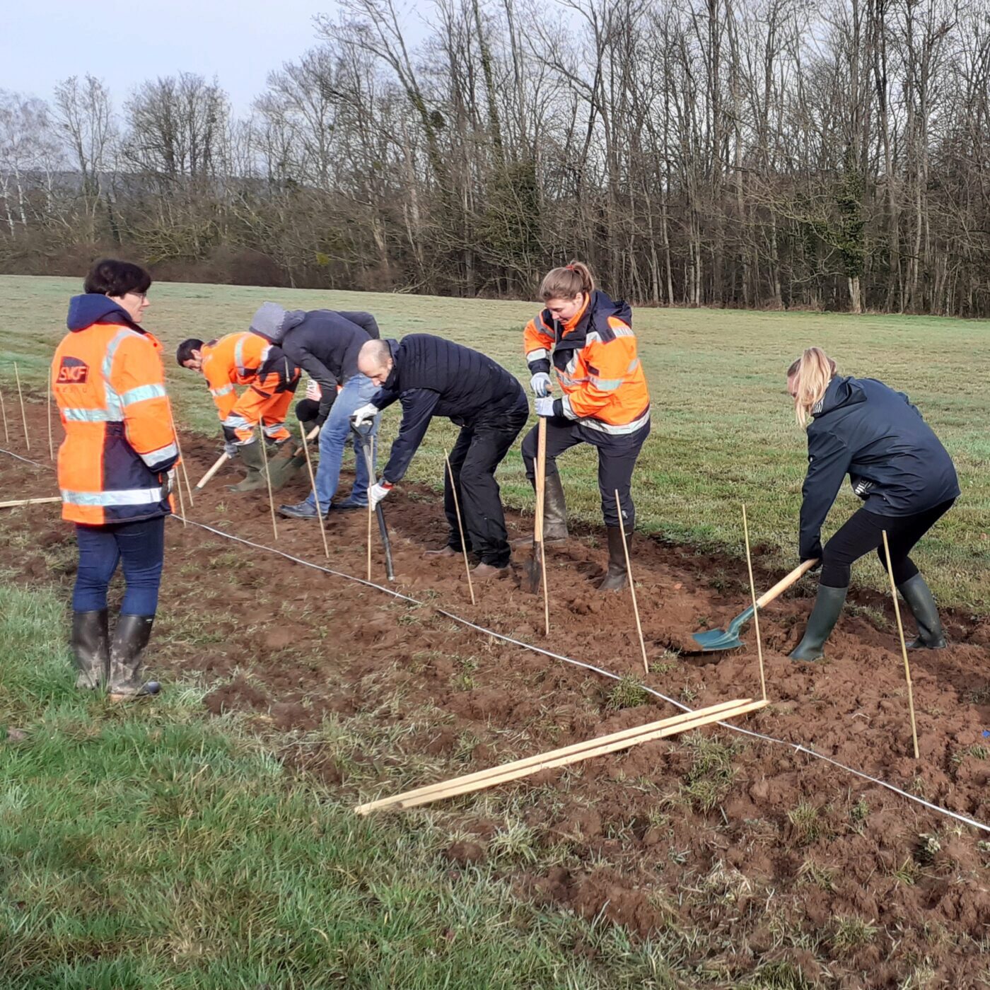 La plantation d'une haie pour protéger les amphibiens à Brans episode artwork