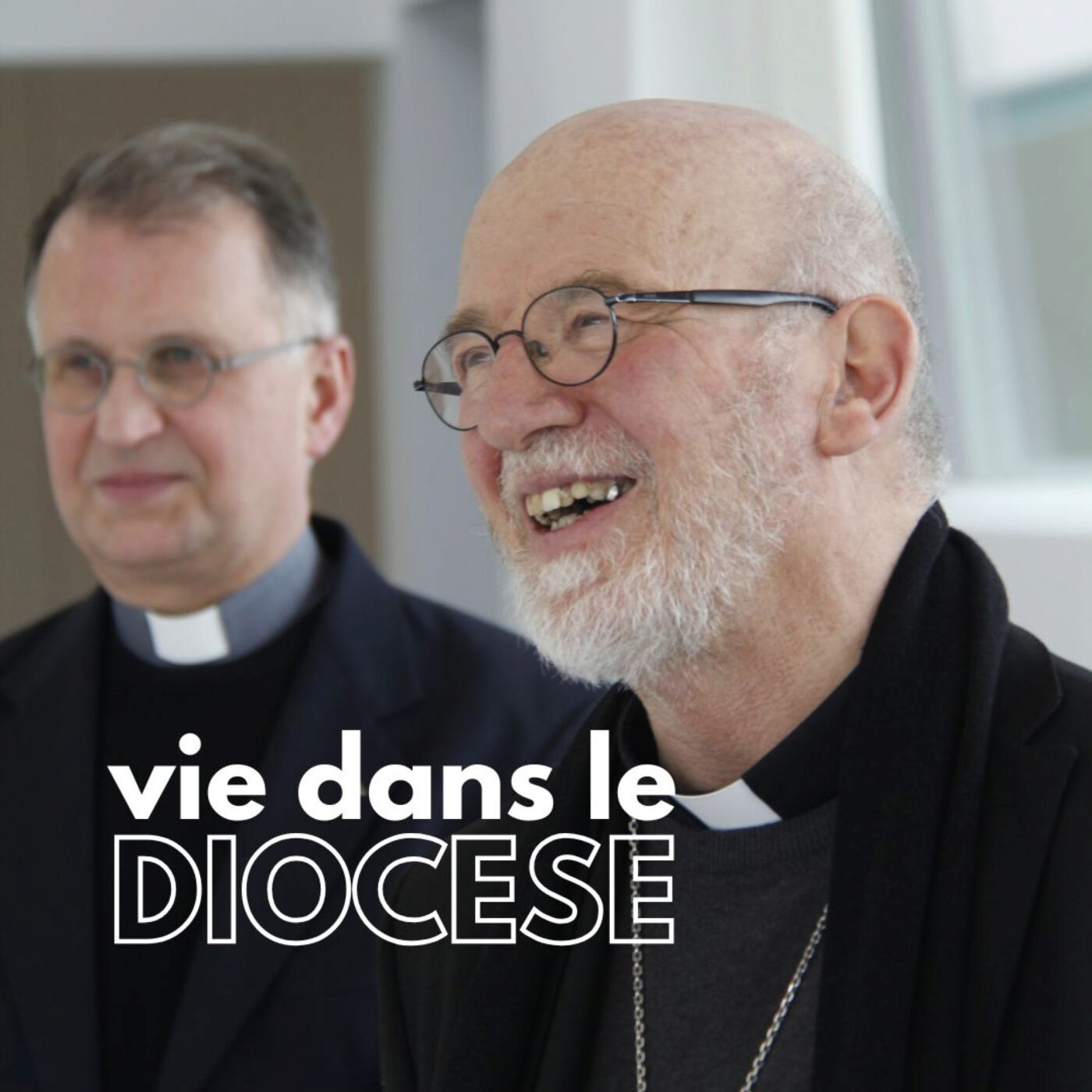 Vie dans le diocèse