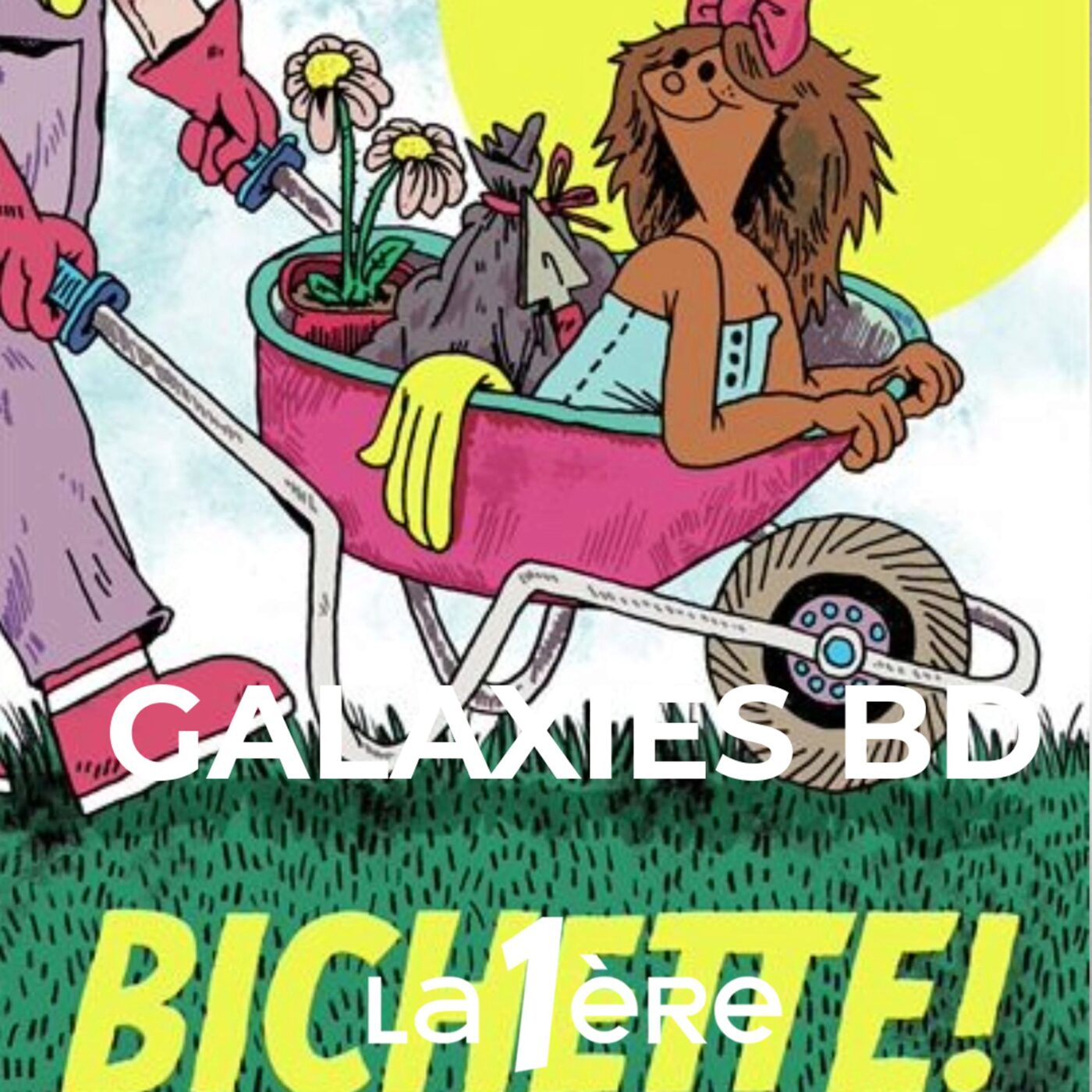 Galaxies BD