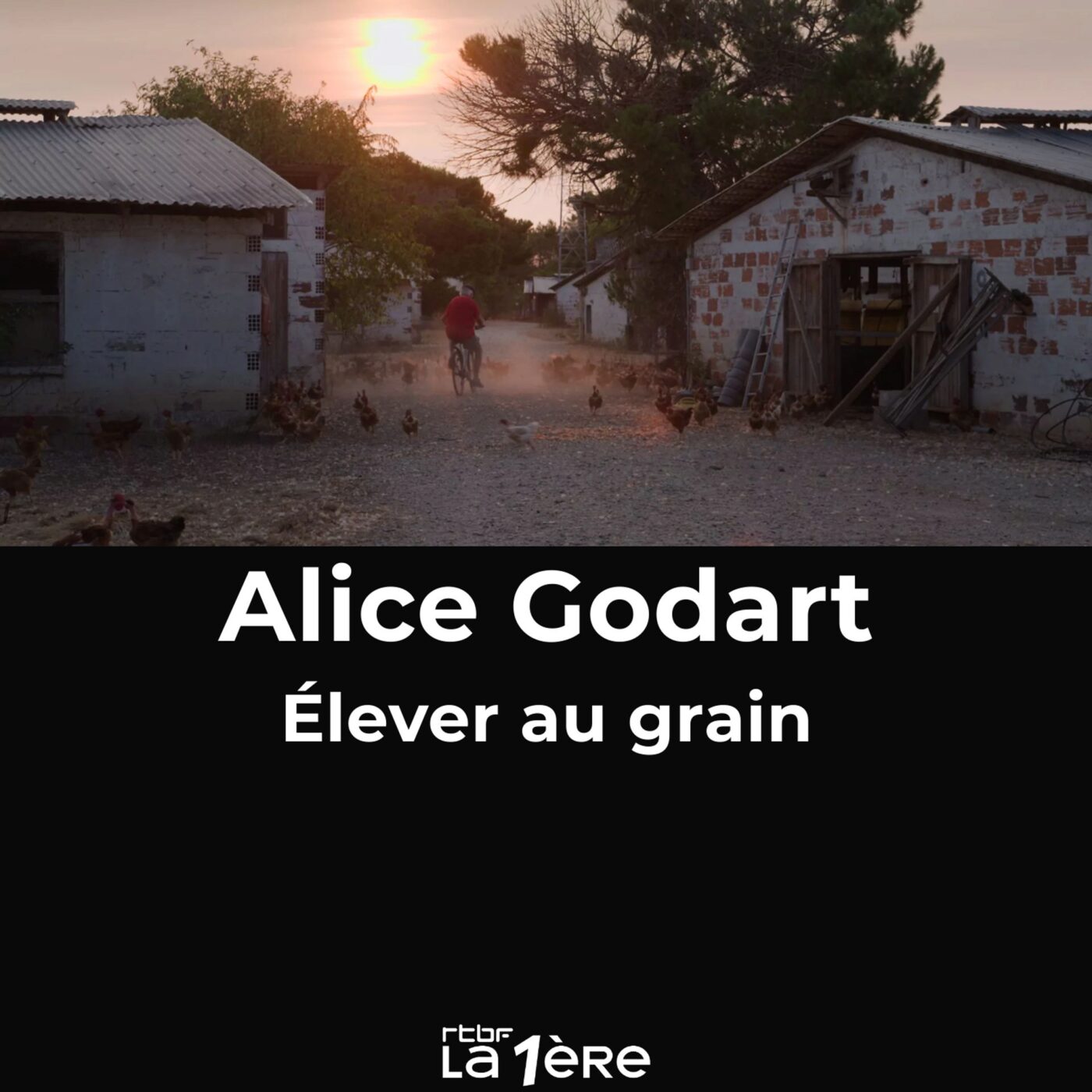 Alice Godart et "Élever au grain" : Un premier documentaire sur la relation père-fille avec en toile de fond la ferme familiale en plein déclin