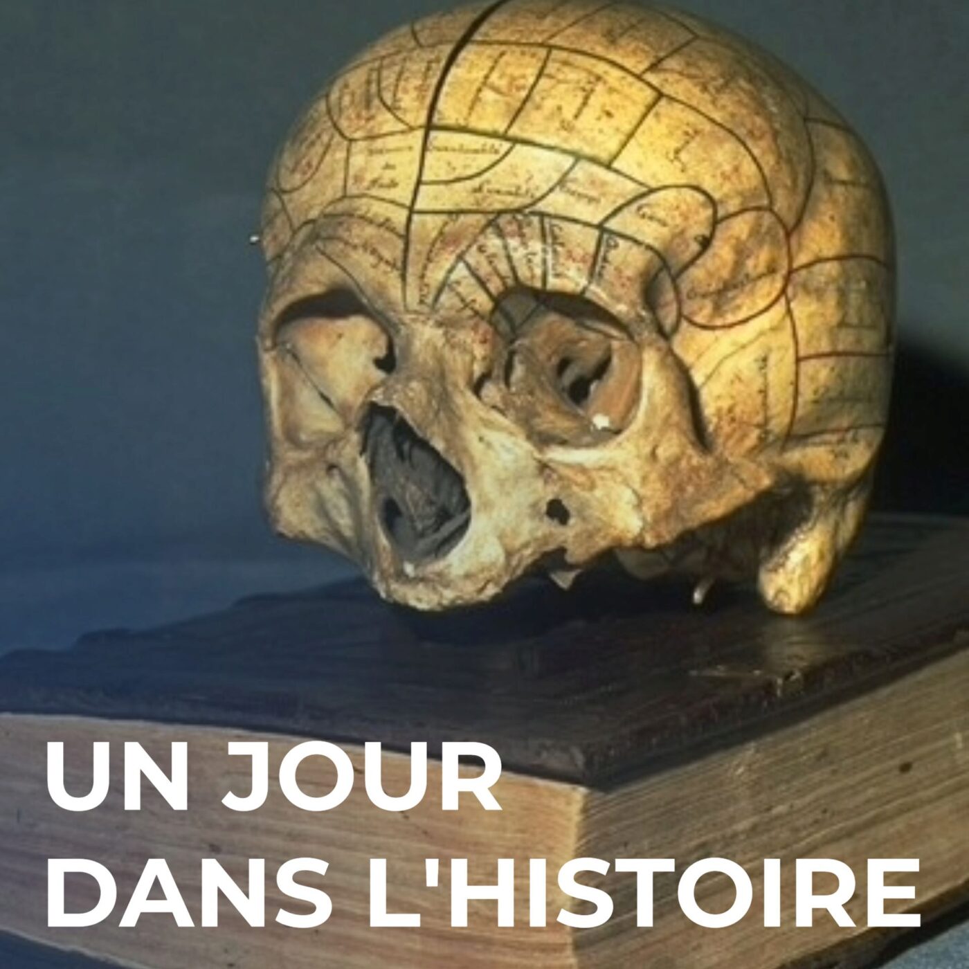 Dominer au nom de la race ?