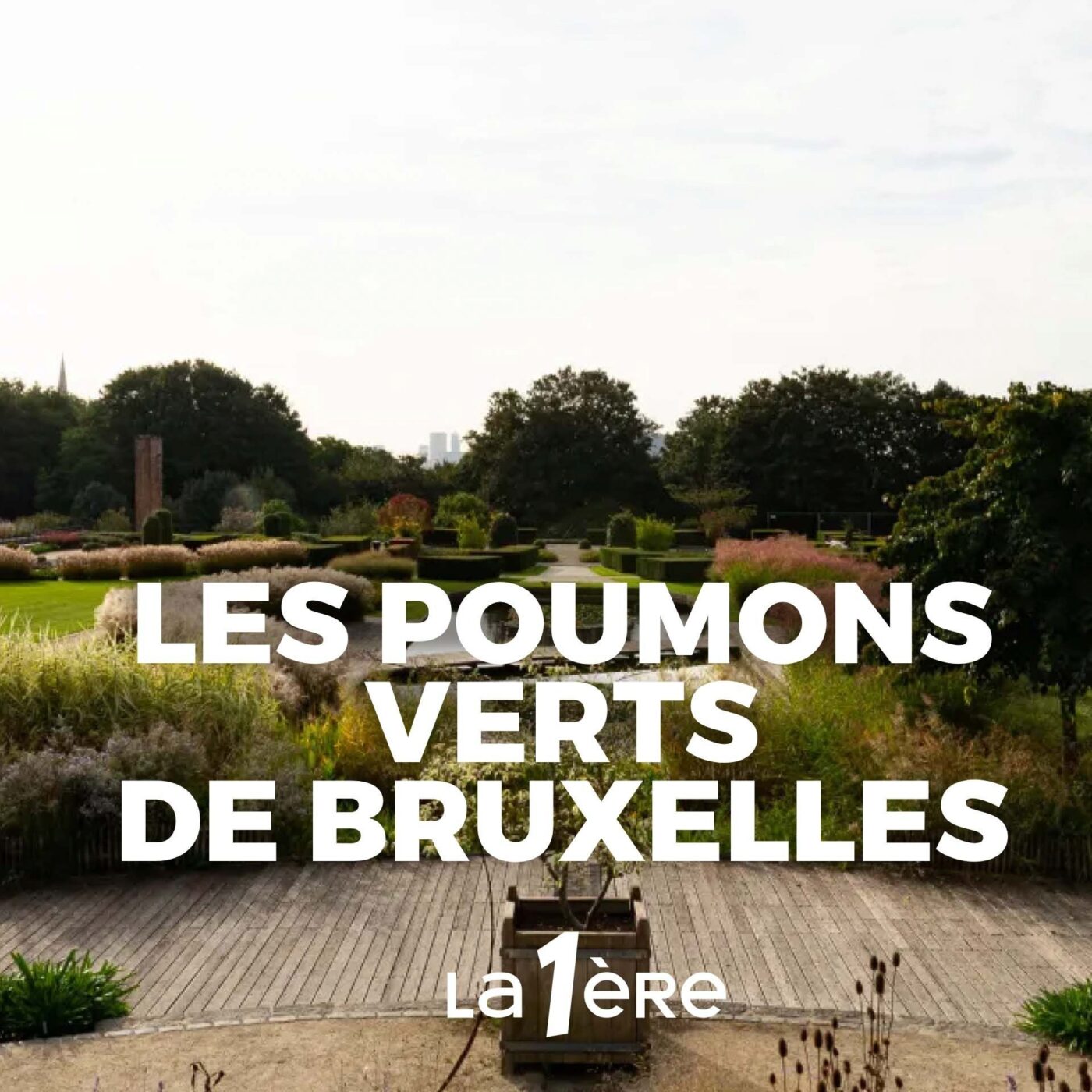 Les 1000 Bruxelles