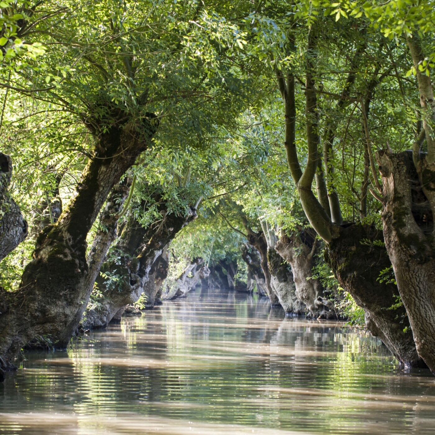 Le patrimoine naturel et biodiversité episode artwork