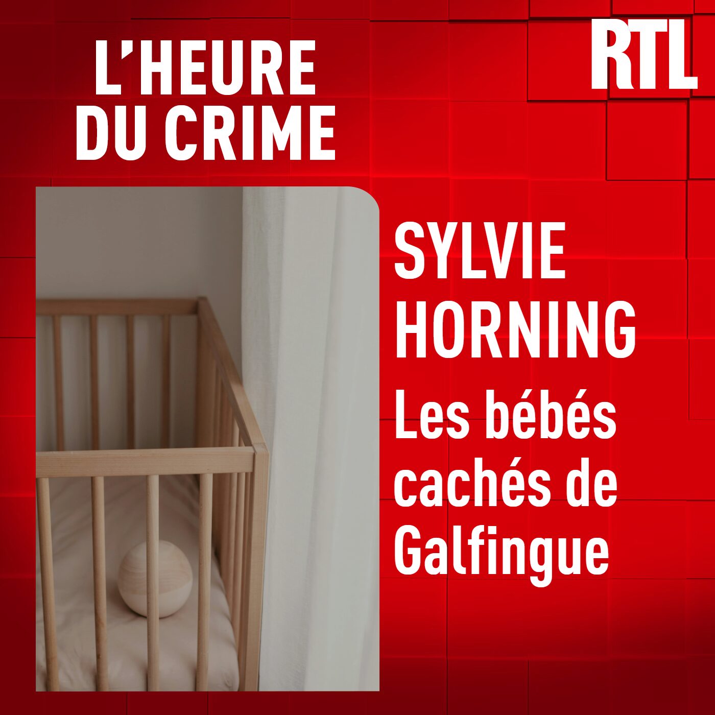 L'INTÉGRALE - Sylvie Horning : les bébés cachés de Galfingue