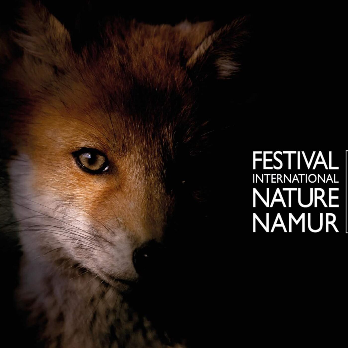 Christophe Boux, coordinateur du festival Nature Namur episode artwork