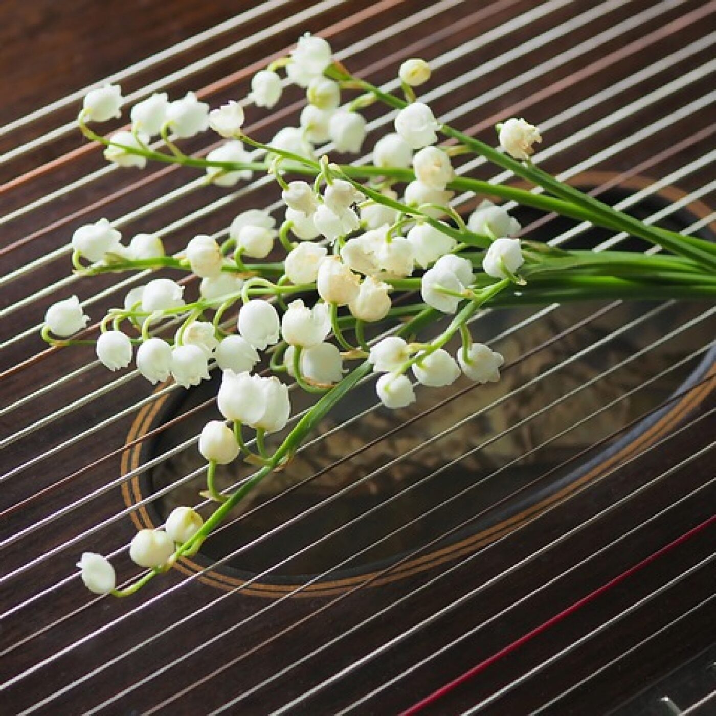 Le Téléphone du dimanche