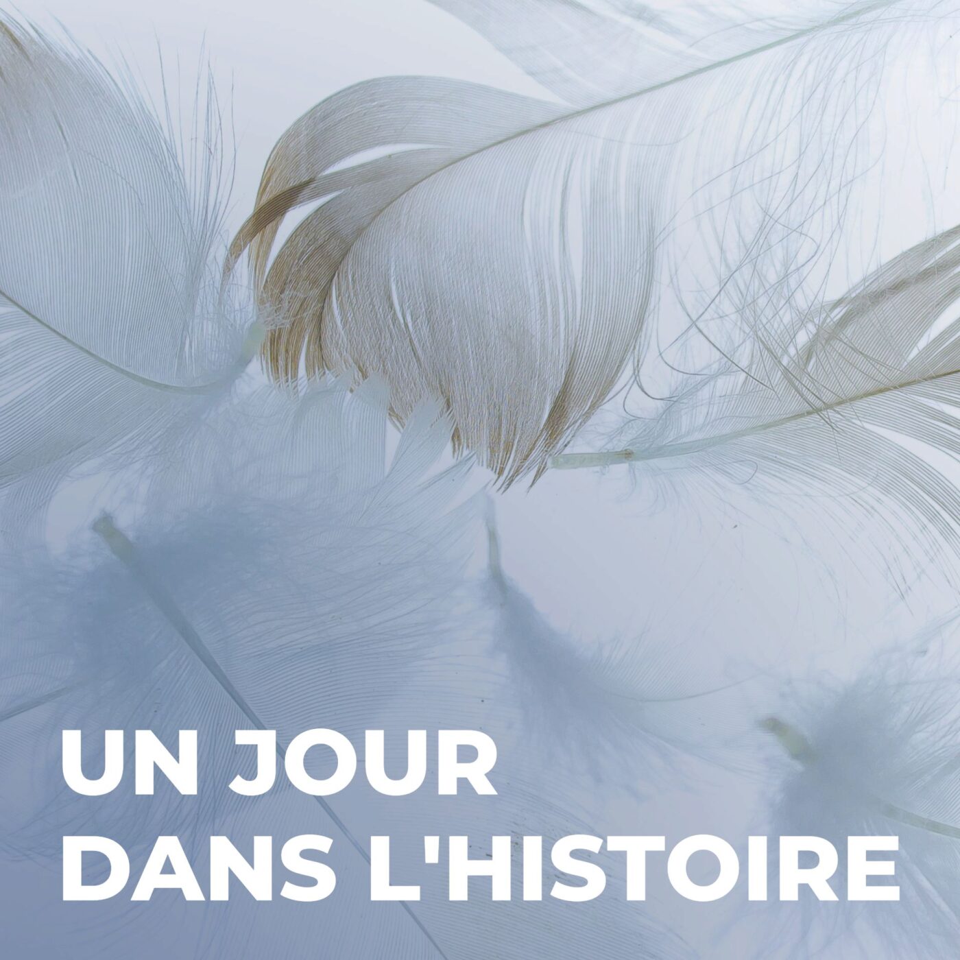 histoire de la plume