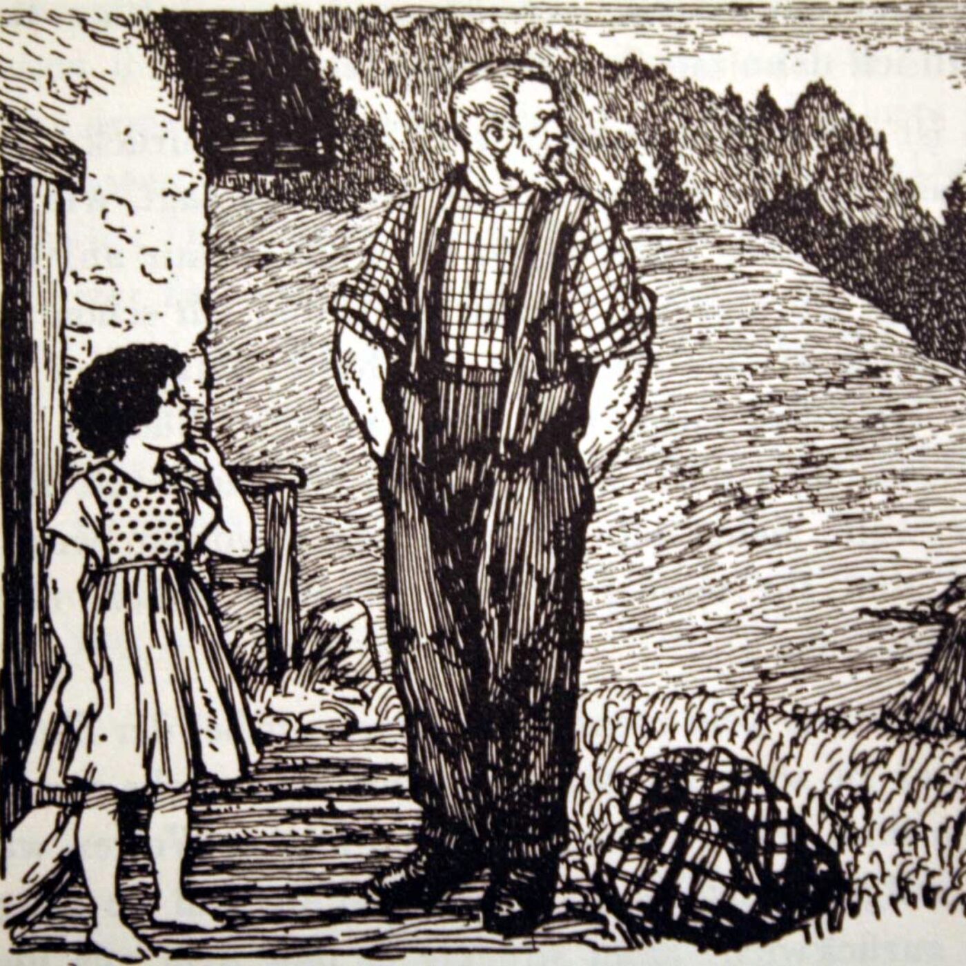 Saint-Gervais : comment Heidi, petite fille des Alpes, est devenue phénomène planétaire ?  episode artwork