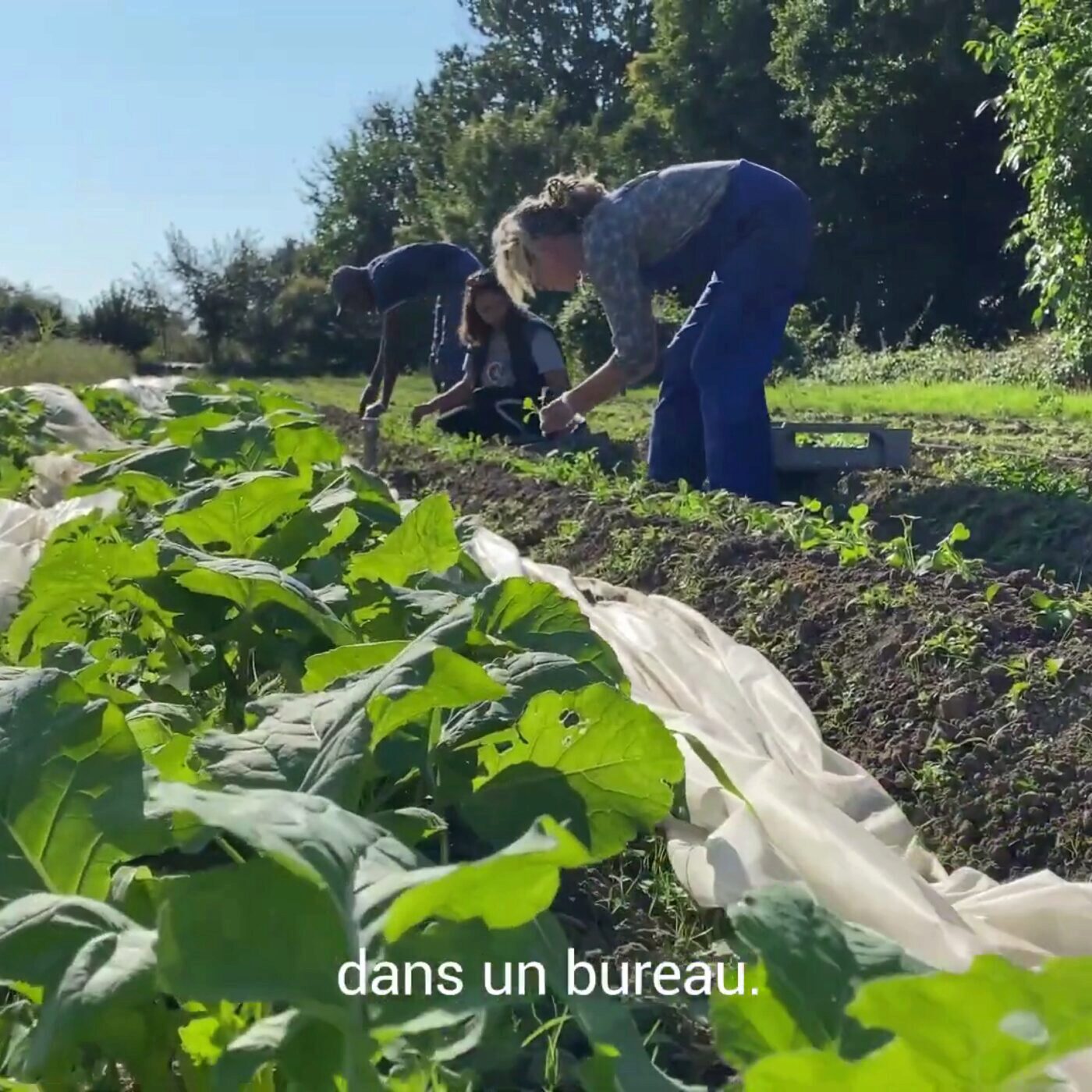 Vu de la sarthe