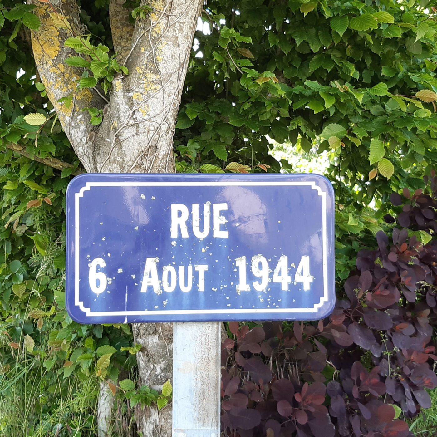L’ÉTÉ EN PAYS DU MAINE