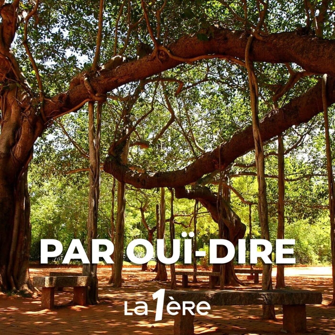 L'utopie où j'ai vécu, Auroville