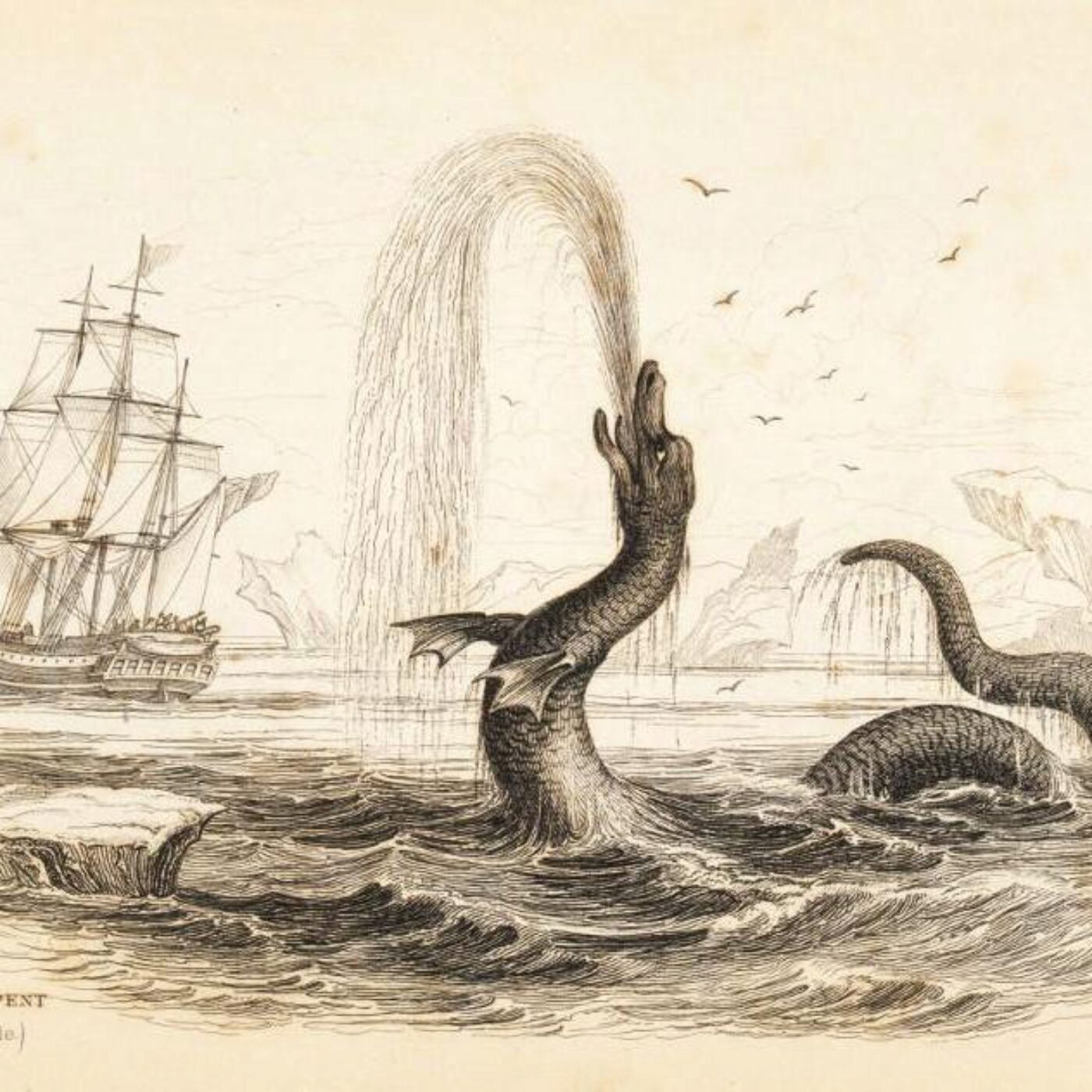 Valérie Delattre, archéo-anthropologue et des créatures légendaires