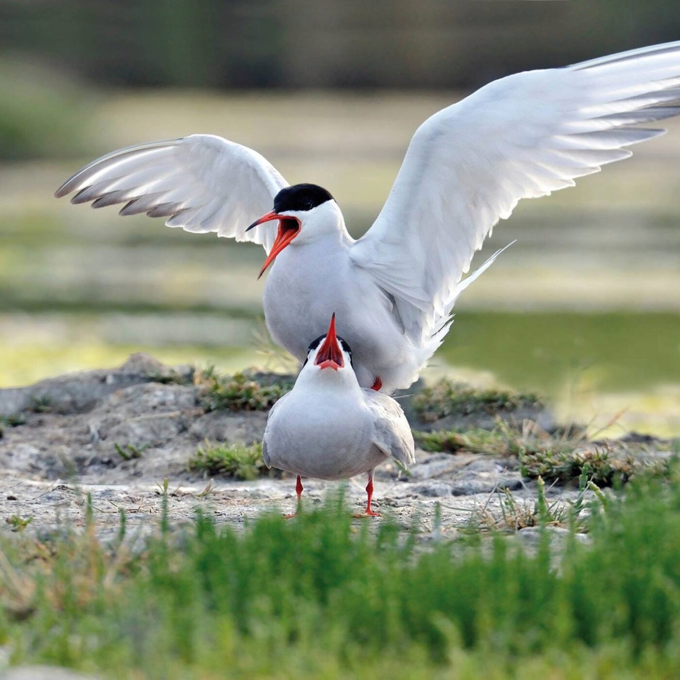 A la rencontre de Christian Beaudin
