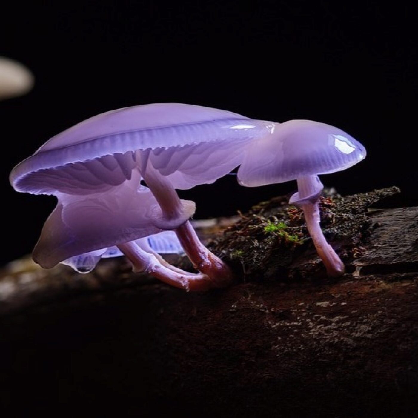 Science en conscience · RCF Alsace