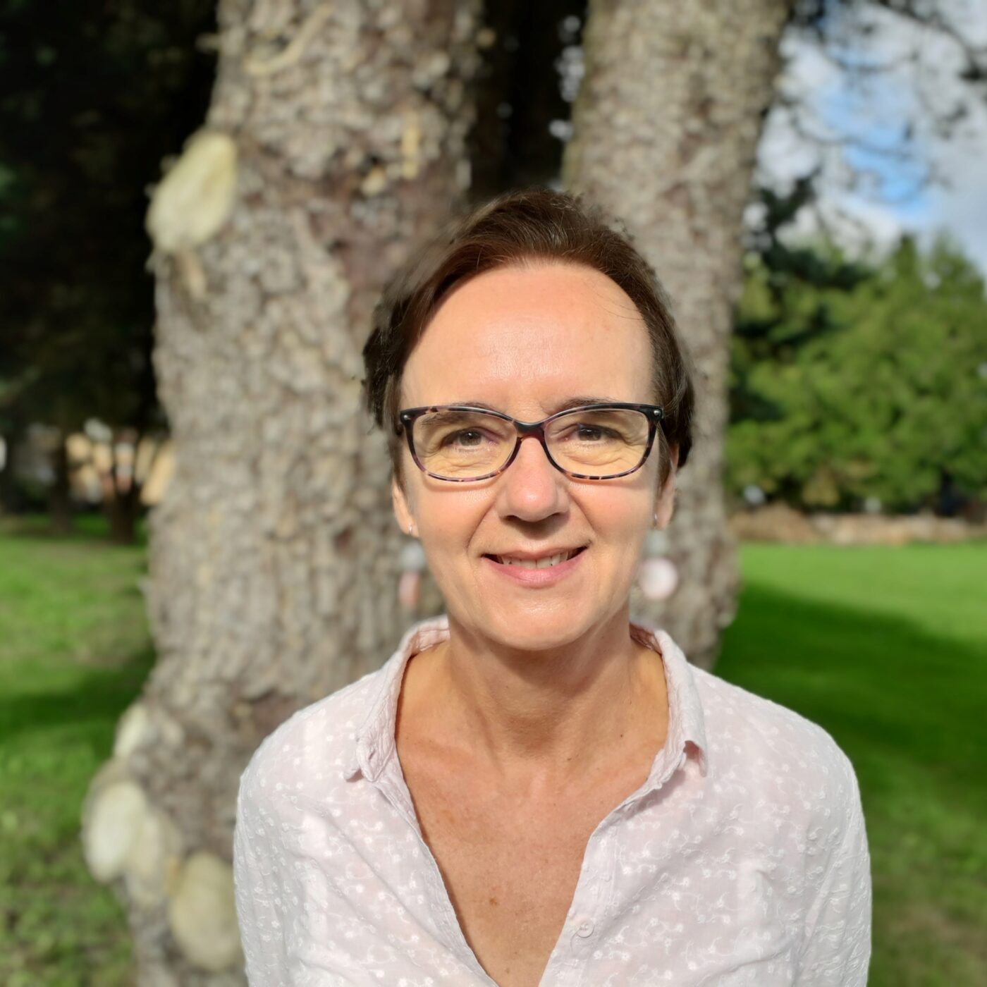 La chronique des AFC