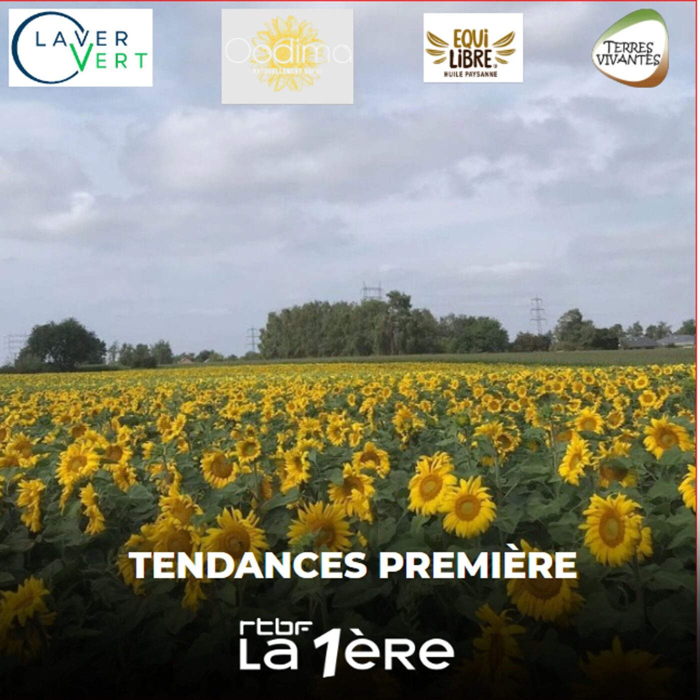 Le pouvoir des huiles locales Le pouvoir des huiles locales