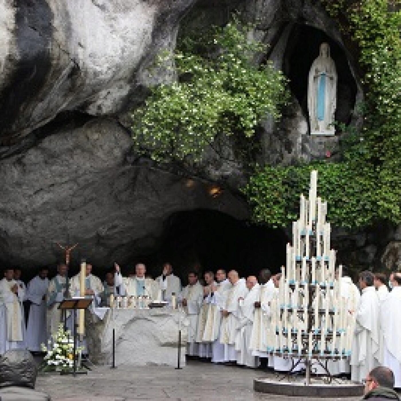 Vitamine C, Occitanie